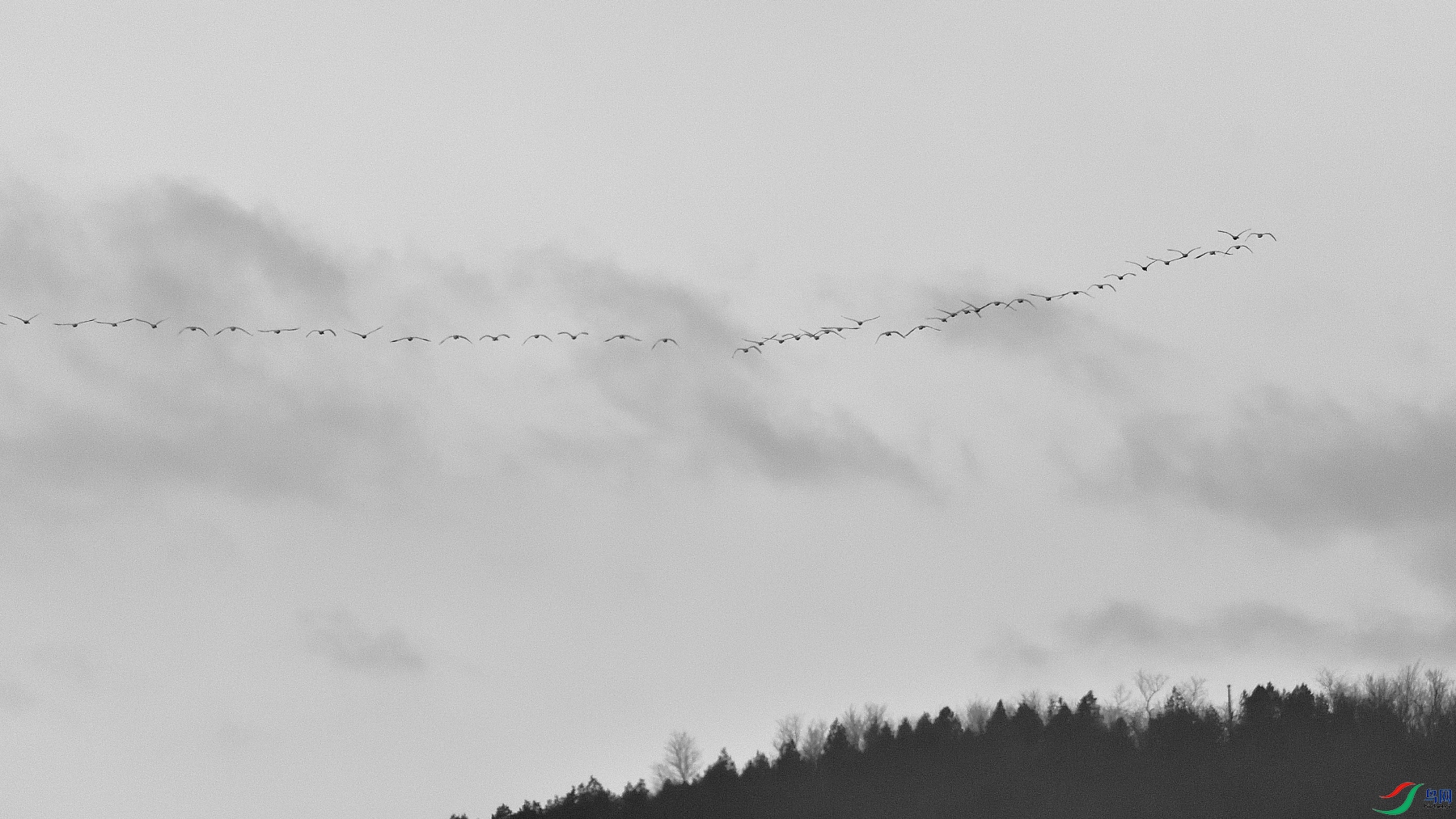 DSC_4279_03.JPG