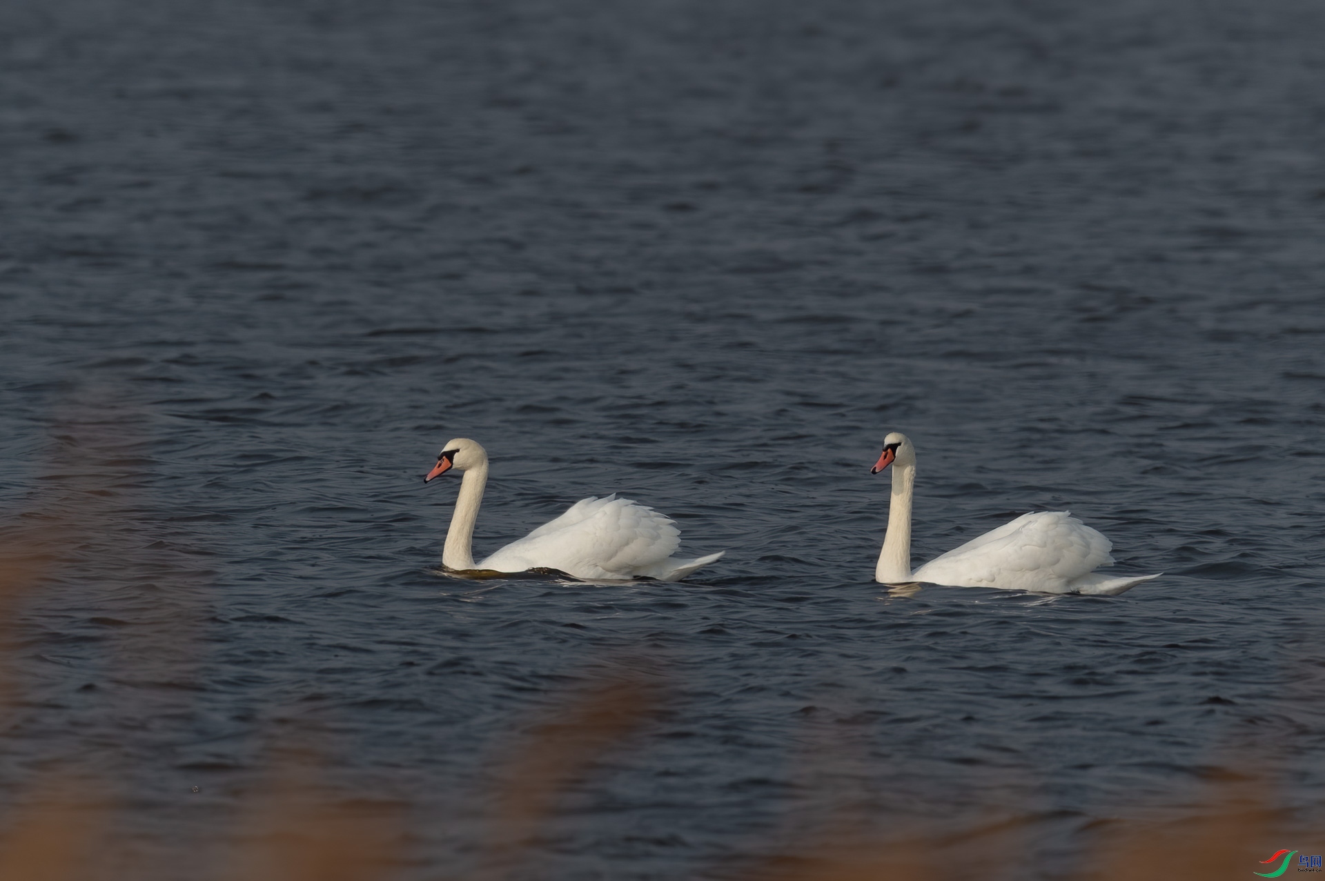 sen2016 12-6-24-�༭-2.jpg