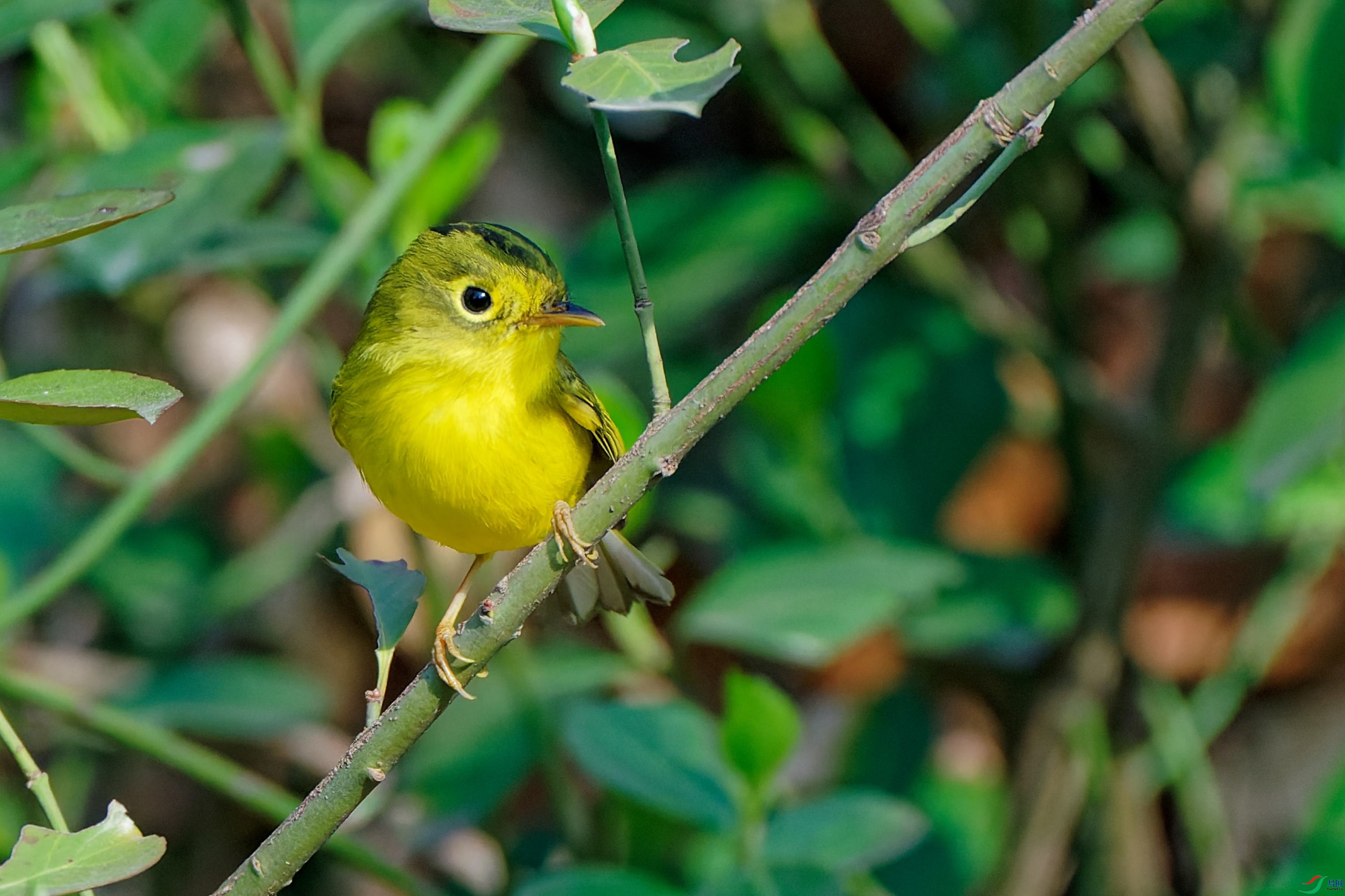 DSC08012_DxO.jpg