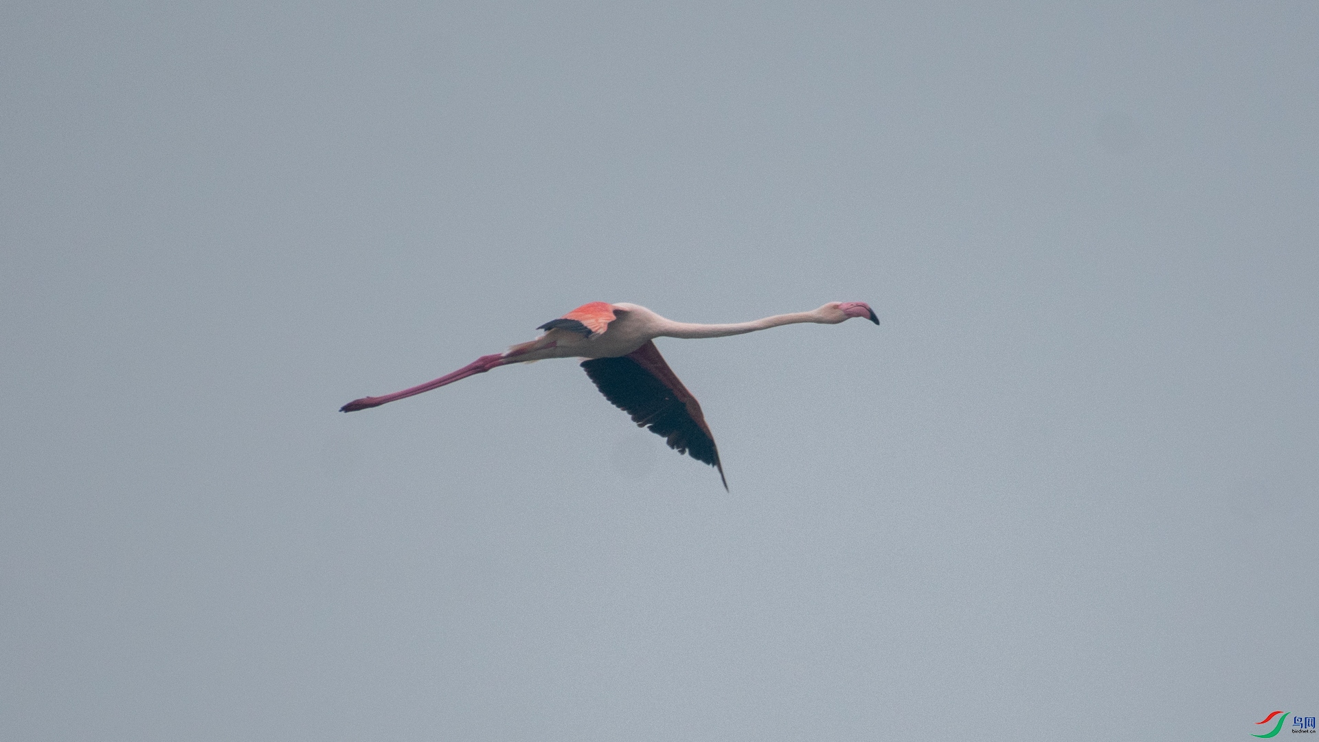 _DSC3659.jpg
