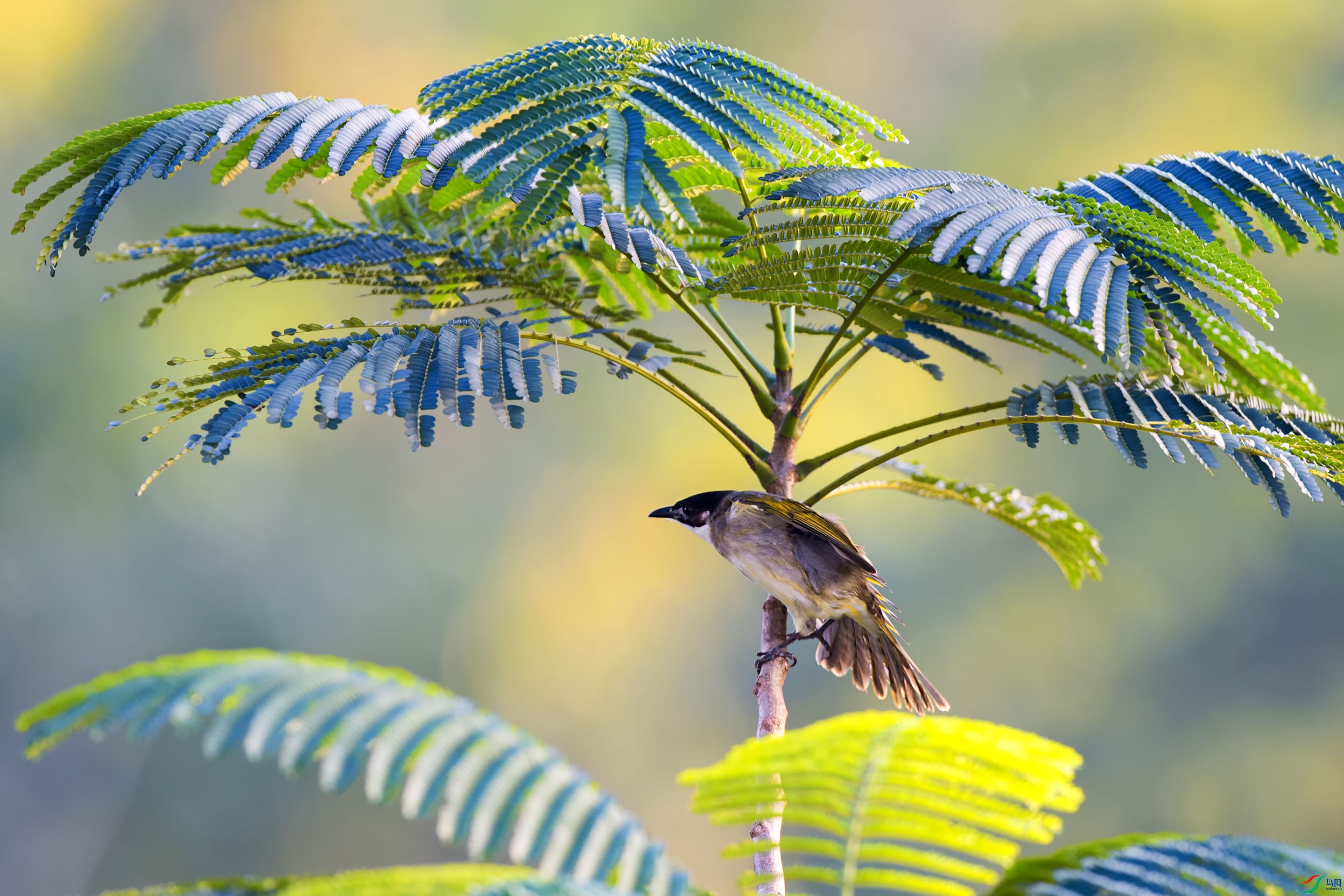 ��_0536.jpg