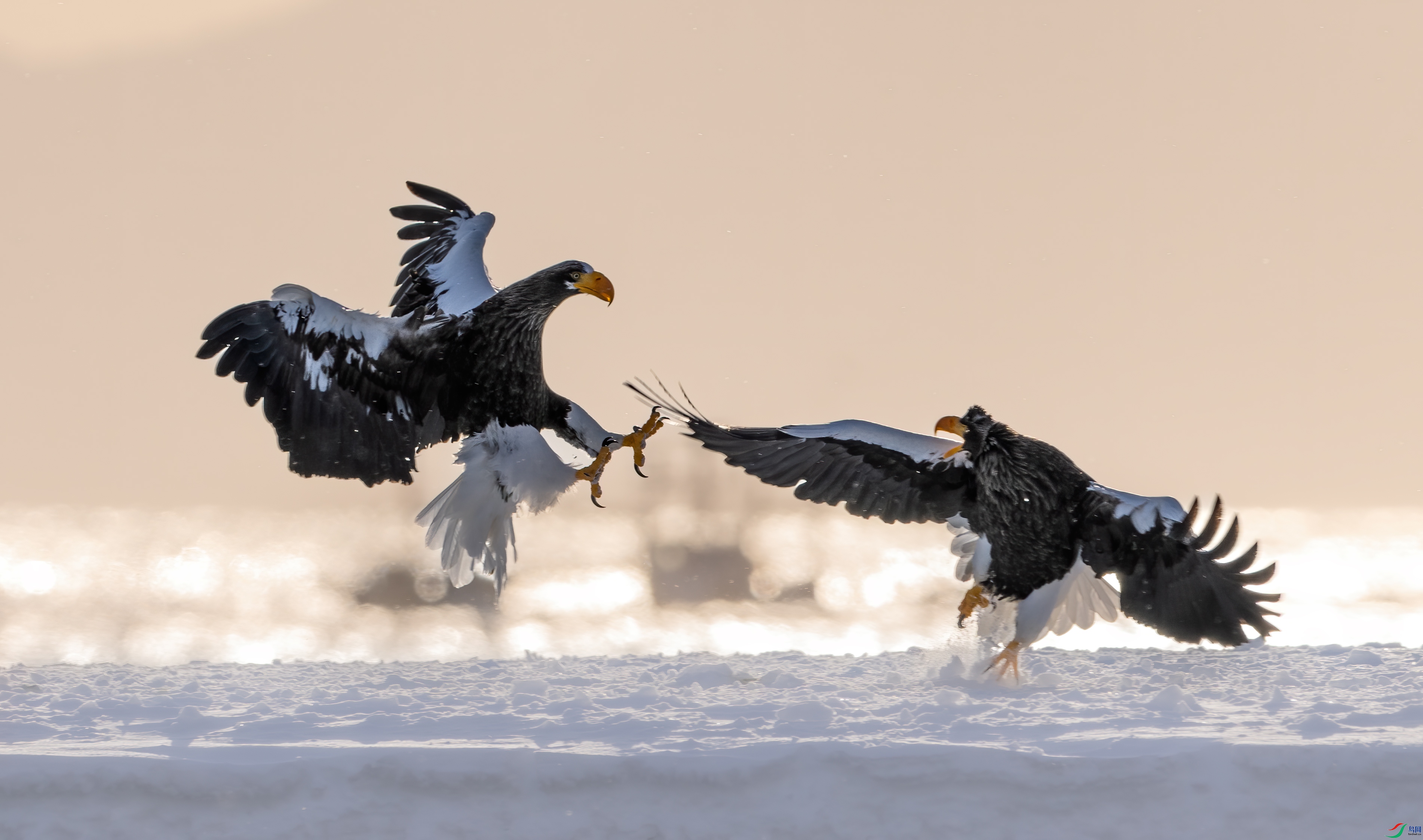DSC_3514-1.jpg