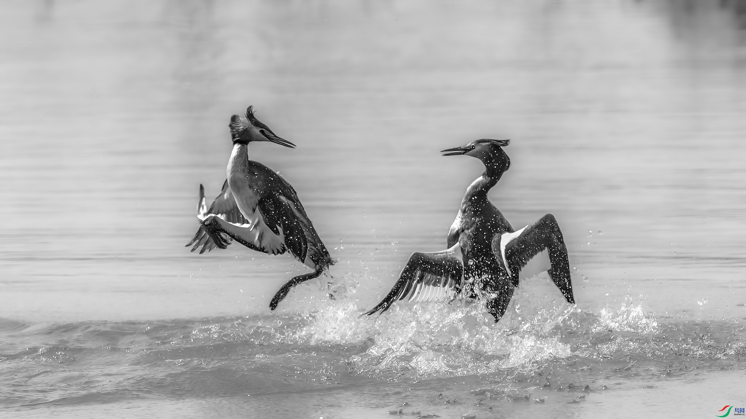 C09R9251 ����1.jpg