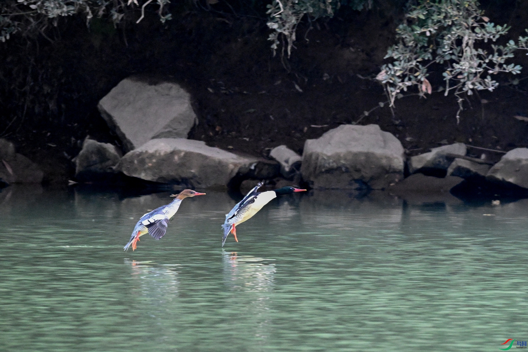 DSC_6848.JPG