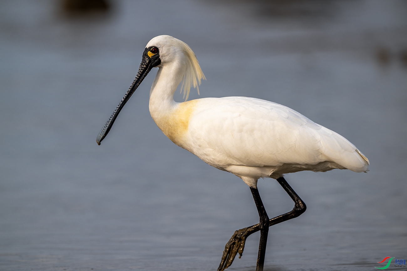 DSC_0173 ����.jpg