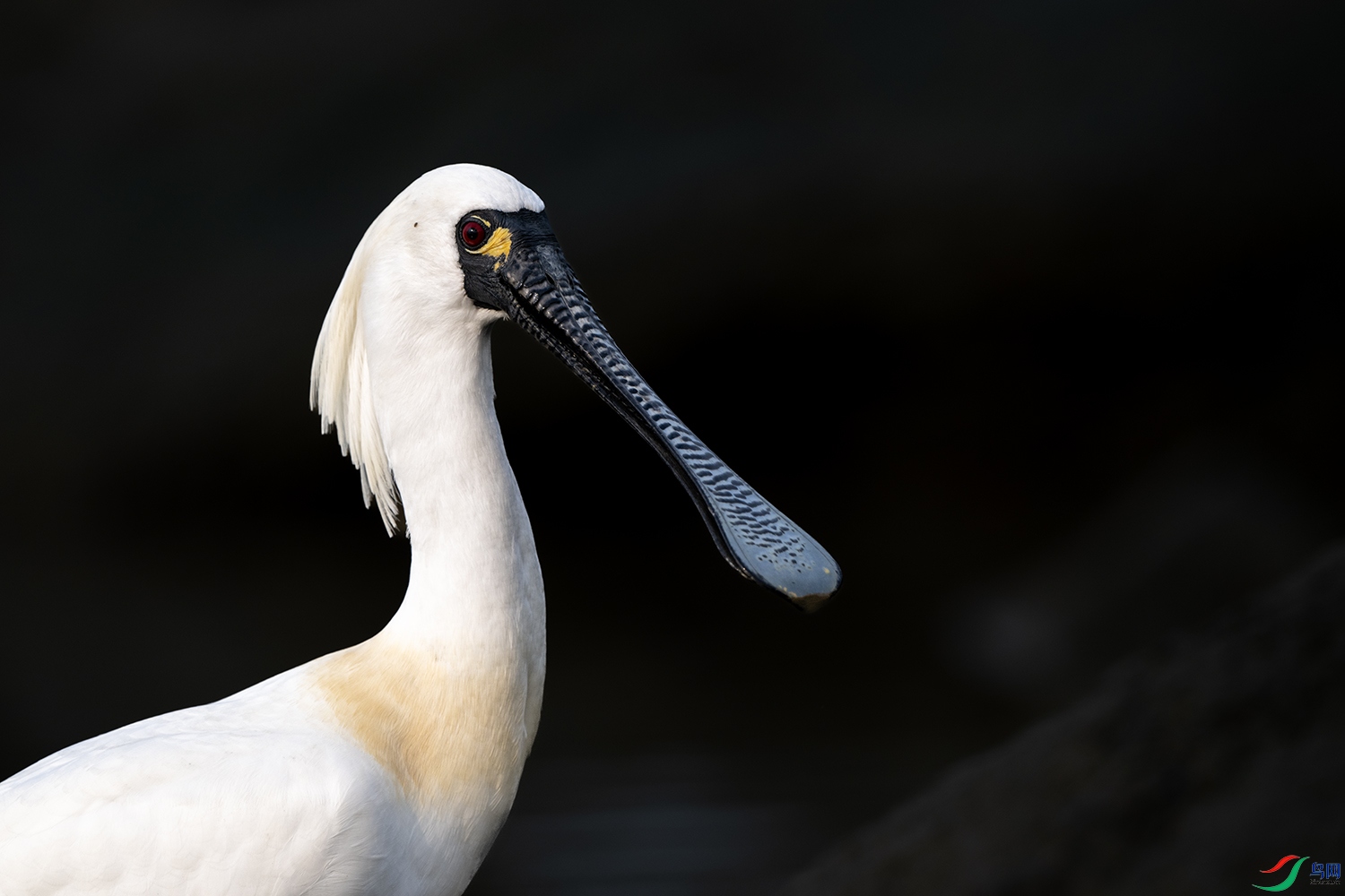 DSC_0791 ����.jpg