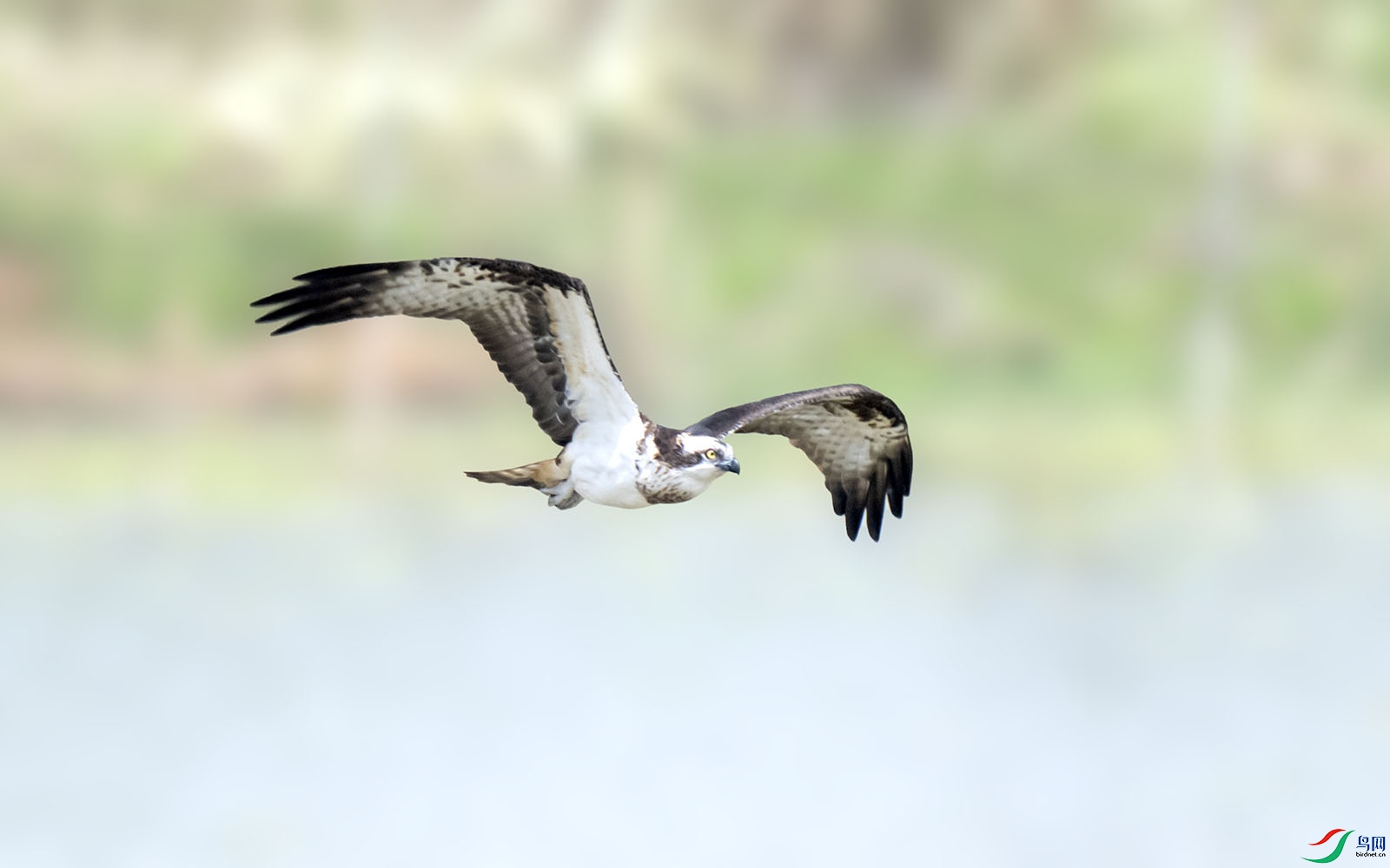 LJH_9353.jpg