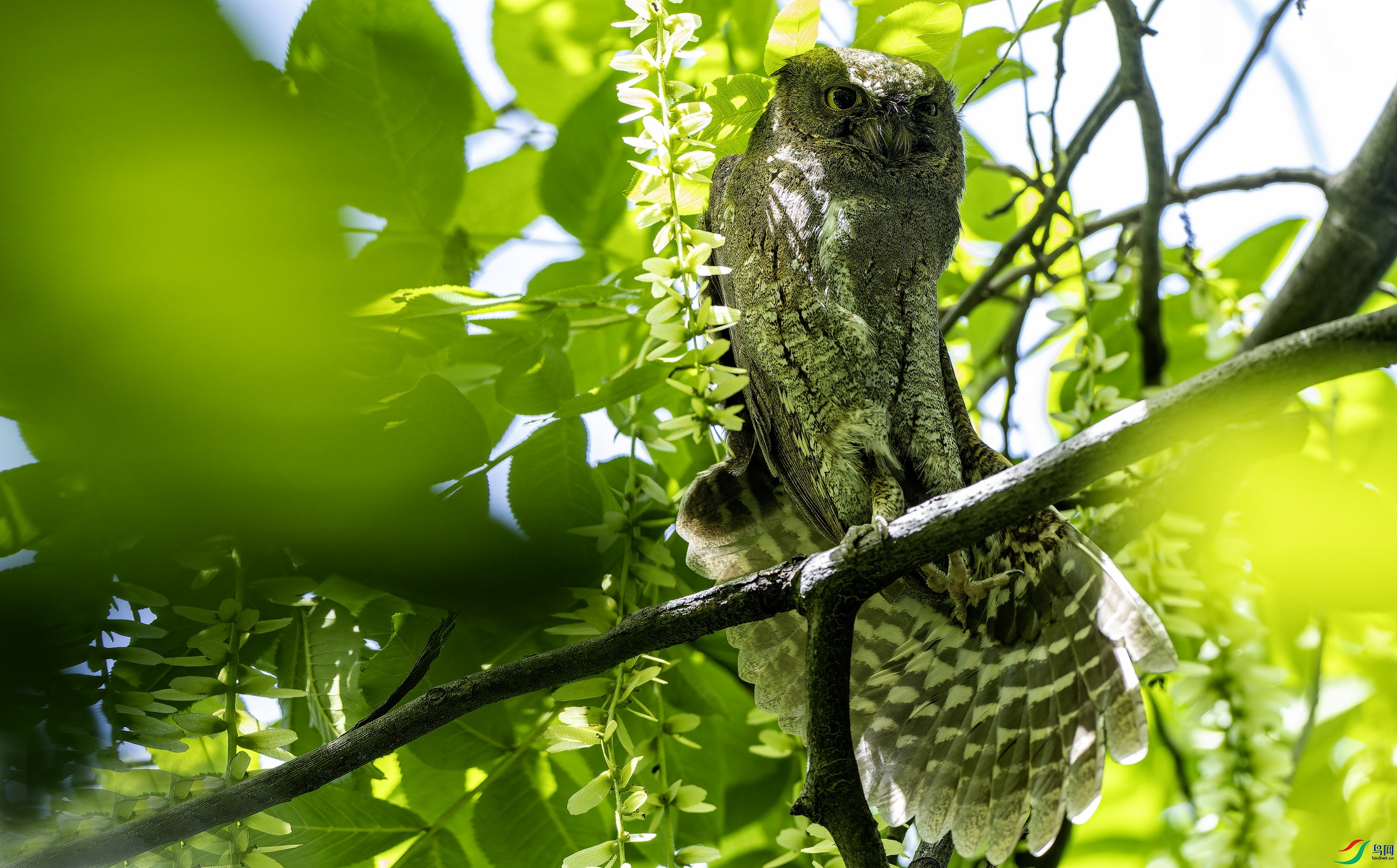 ����^ (1499)-1.jpg