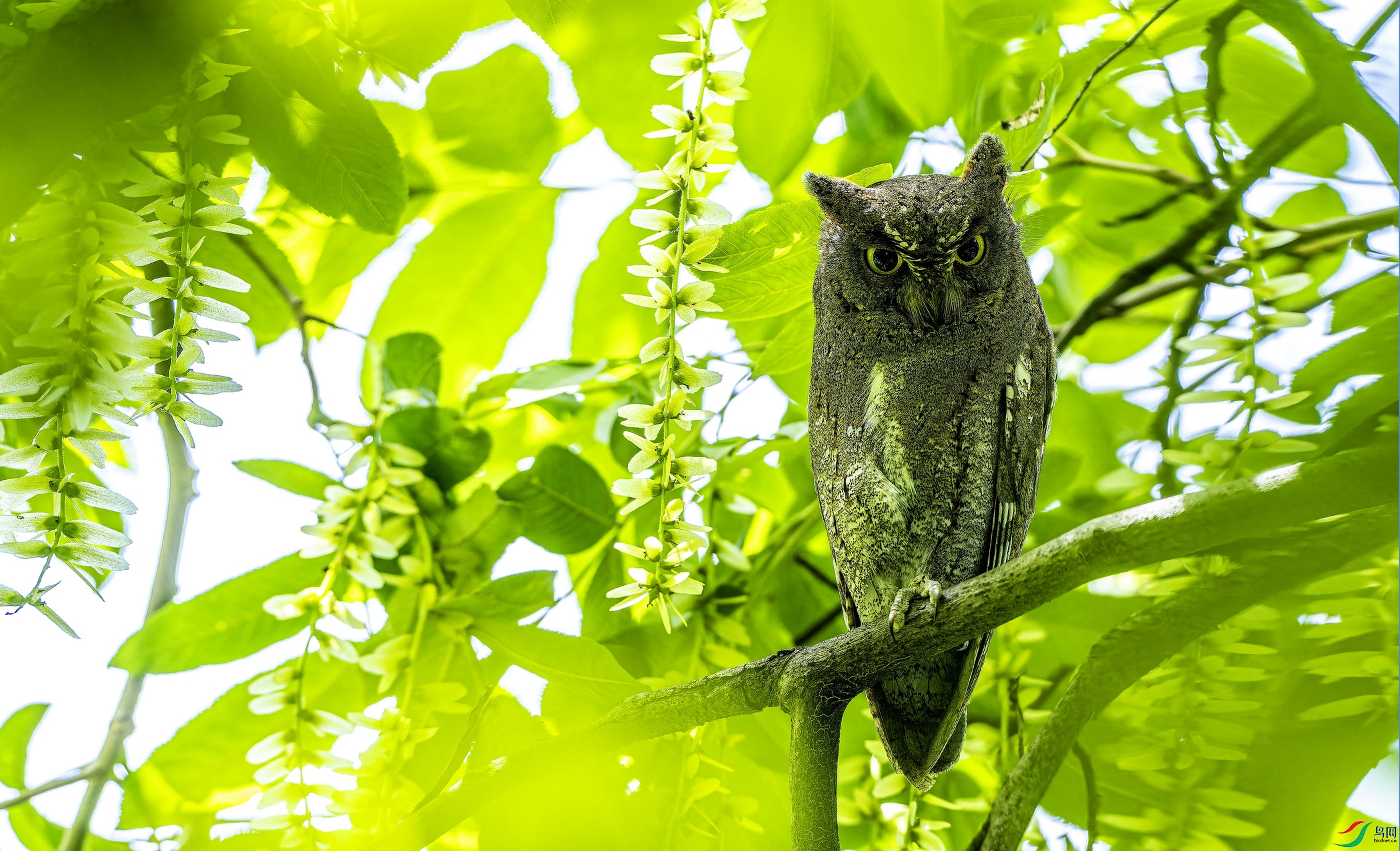 ����^ (2517)-1.jpg