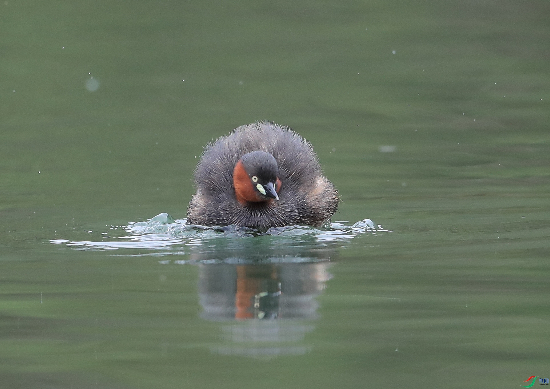 AI0I4961ˮ ��.JPG