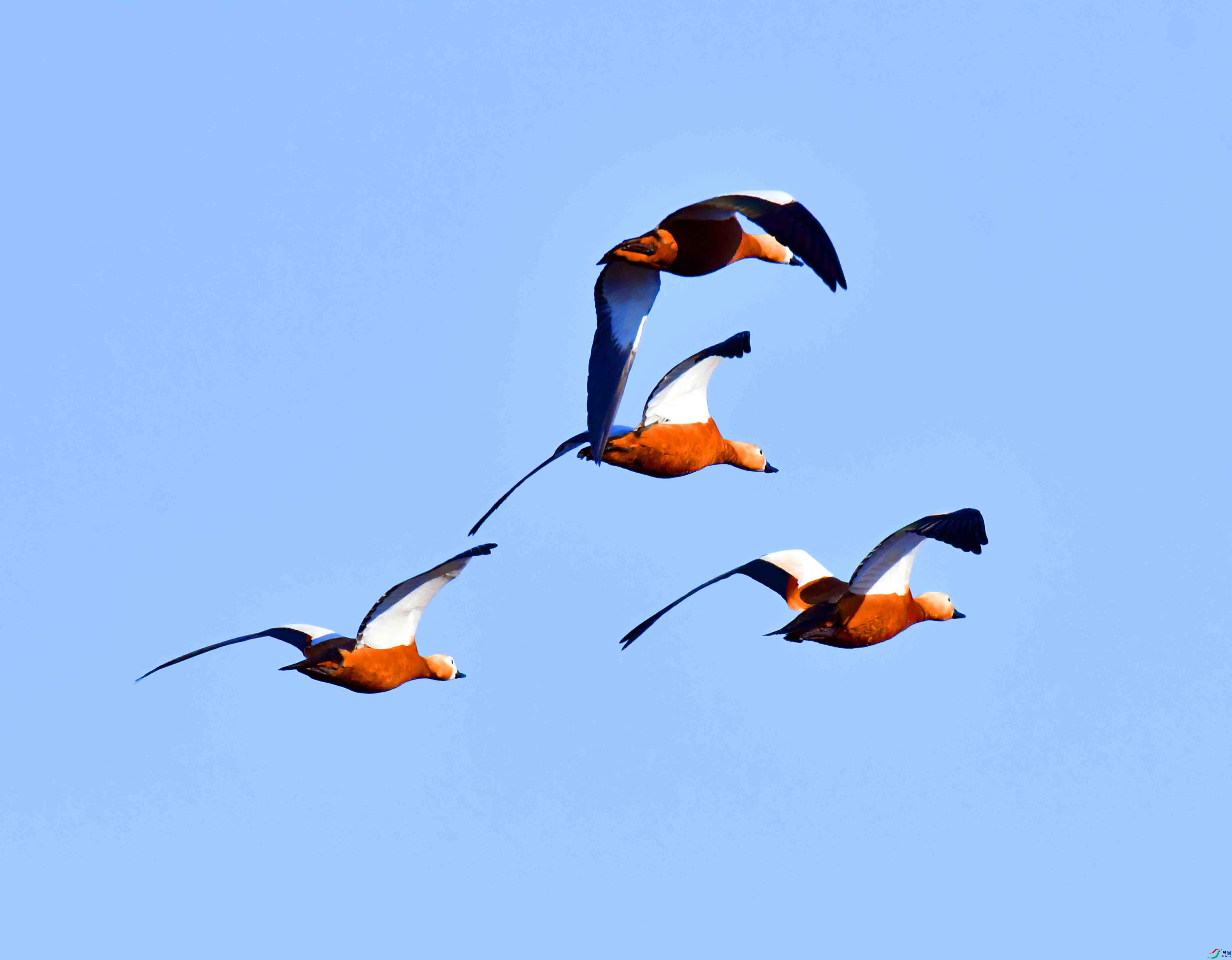 DSC_1188.JPG