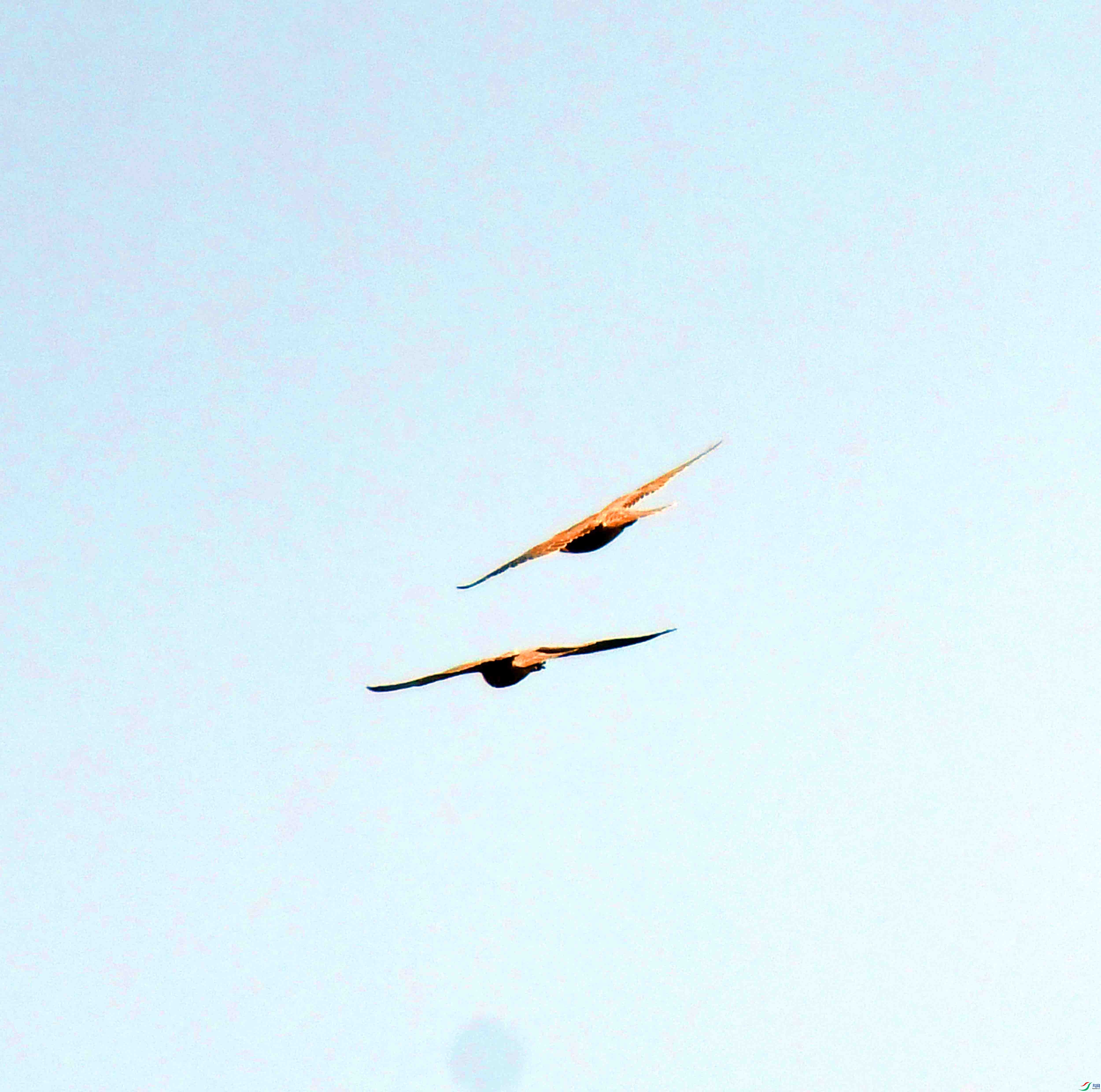 DSC_4164.JPG