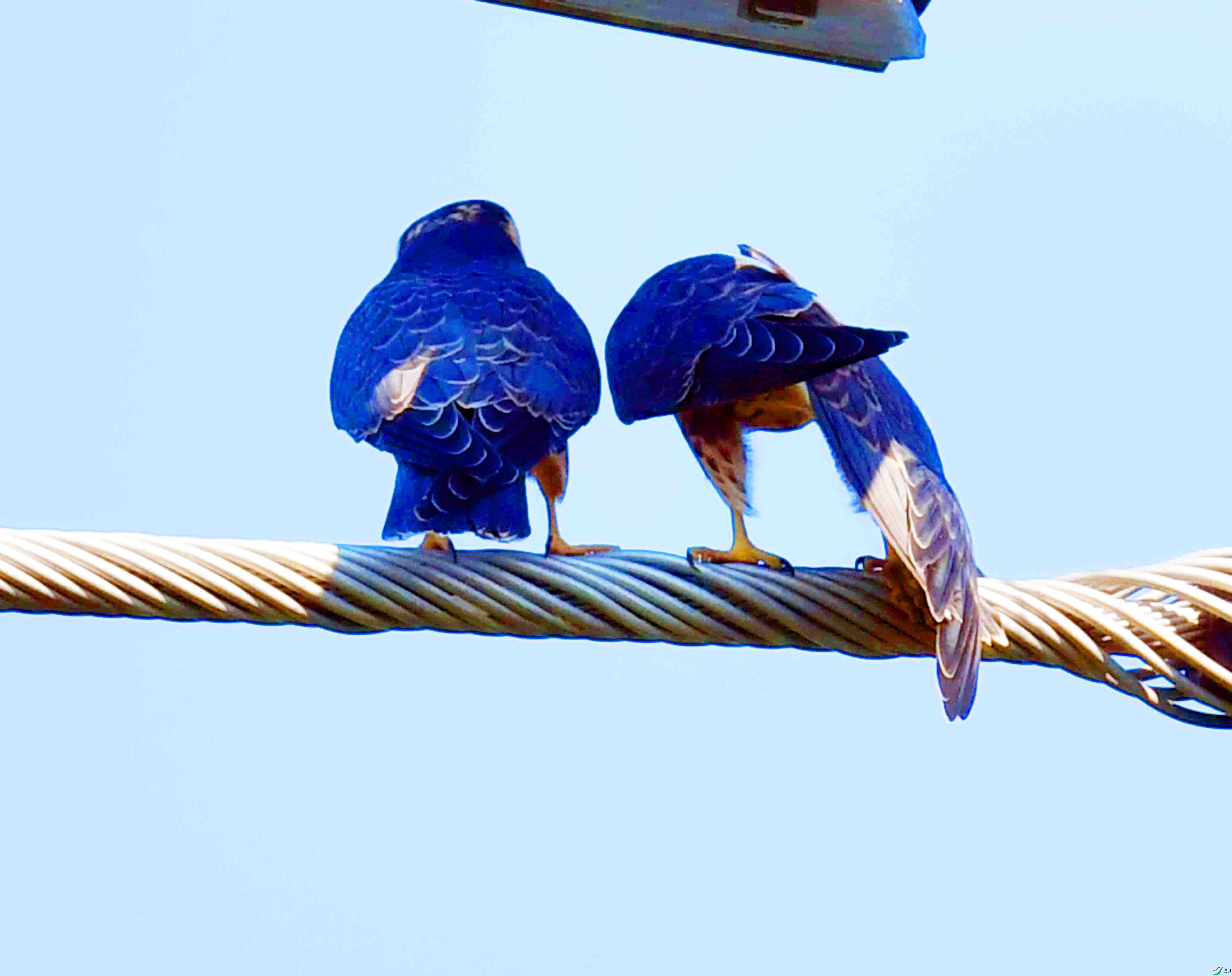 DSC_4257.JPG