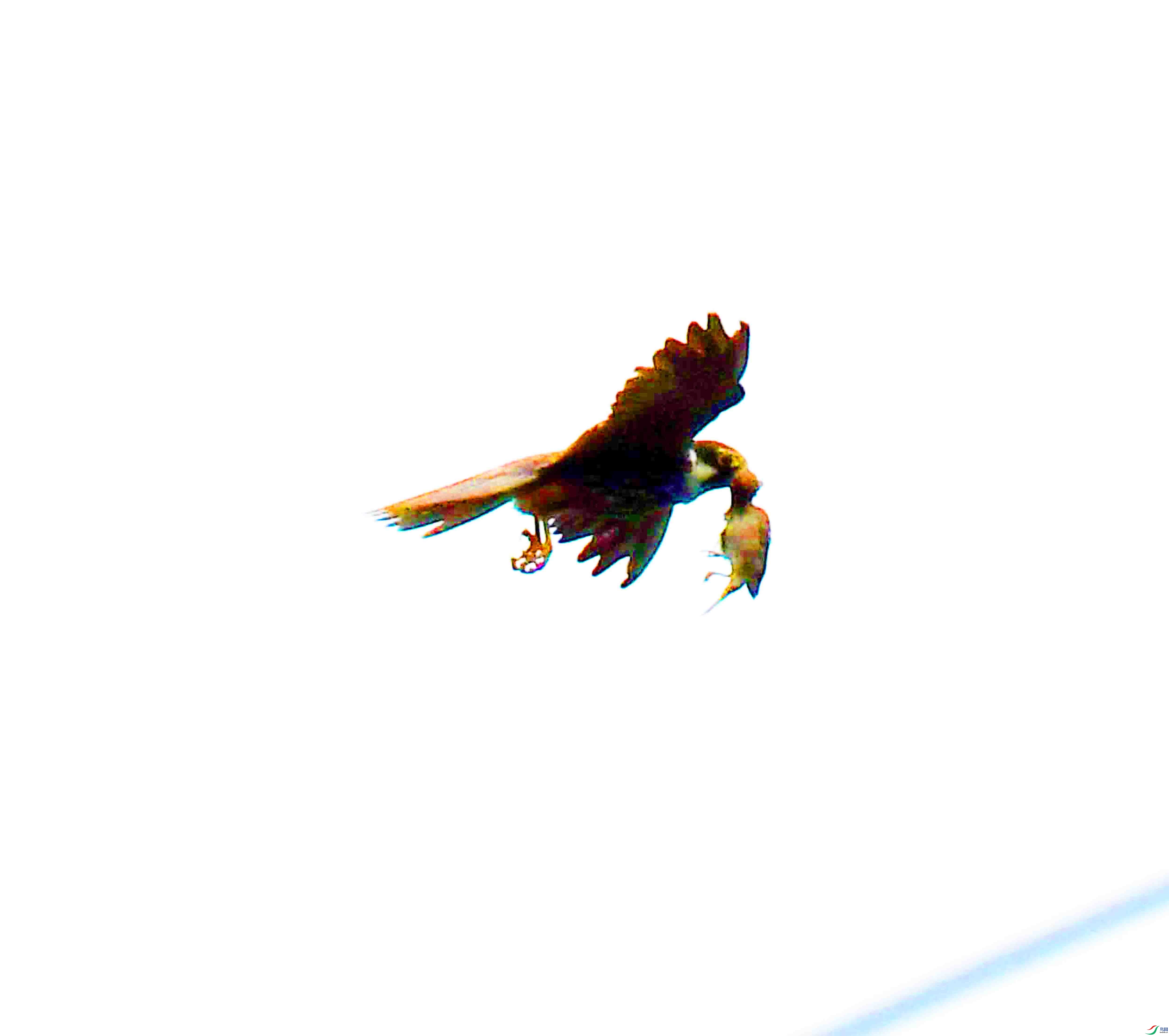 DSC_4354.JPG