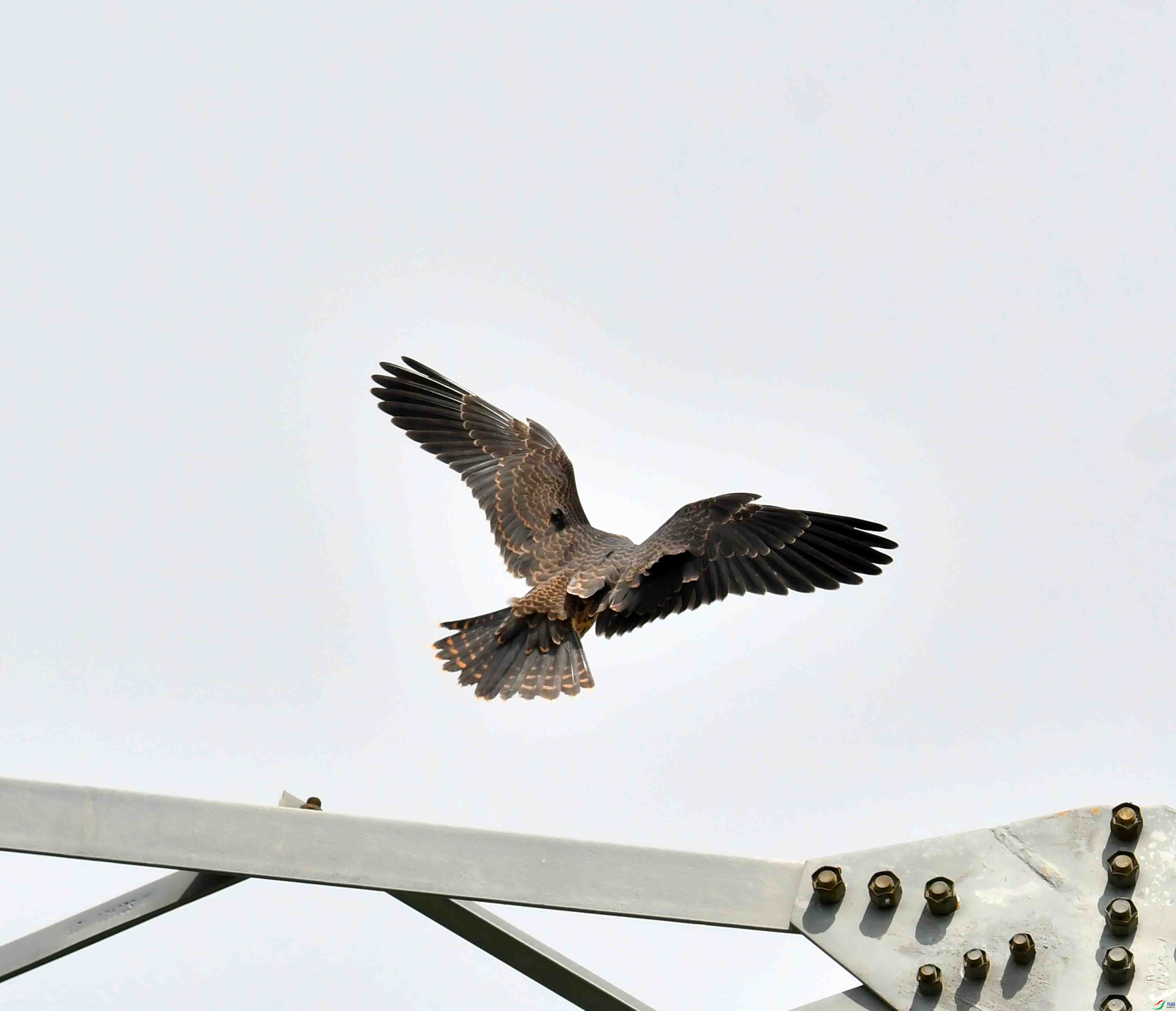DSC_4366.JPG