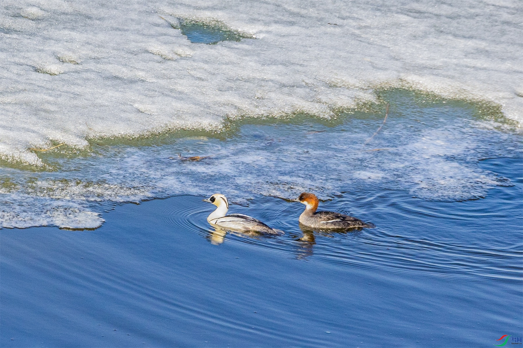 1K3A7019 ����1.jpg