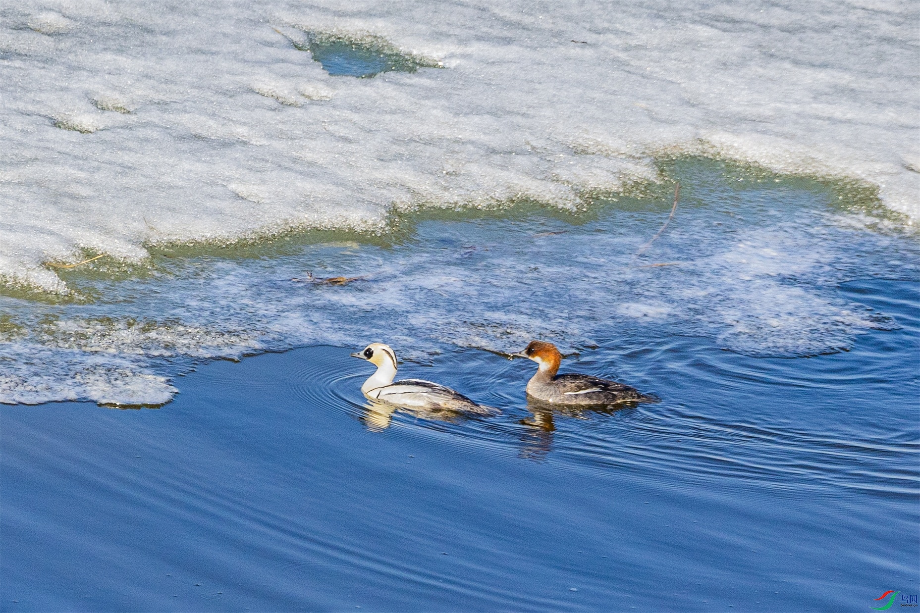 1K3A7018 ����1.jpg