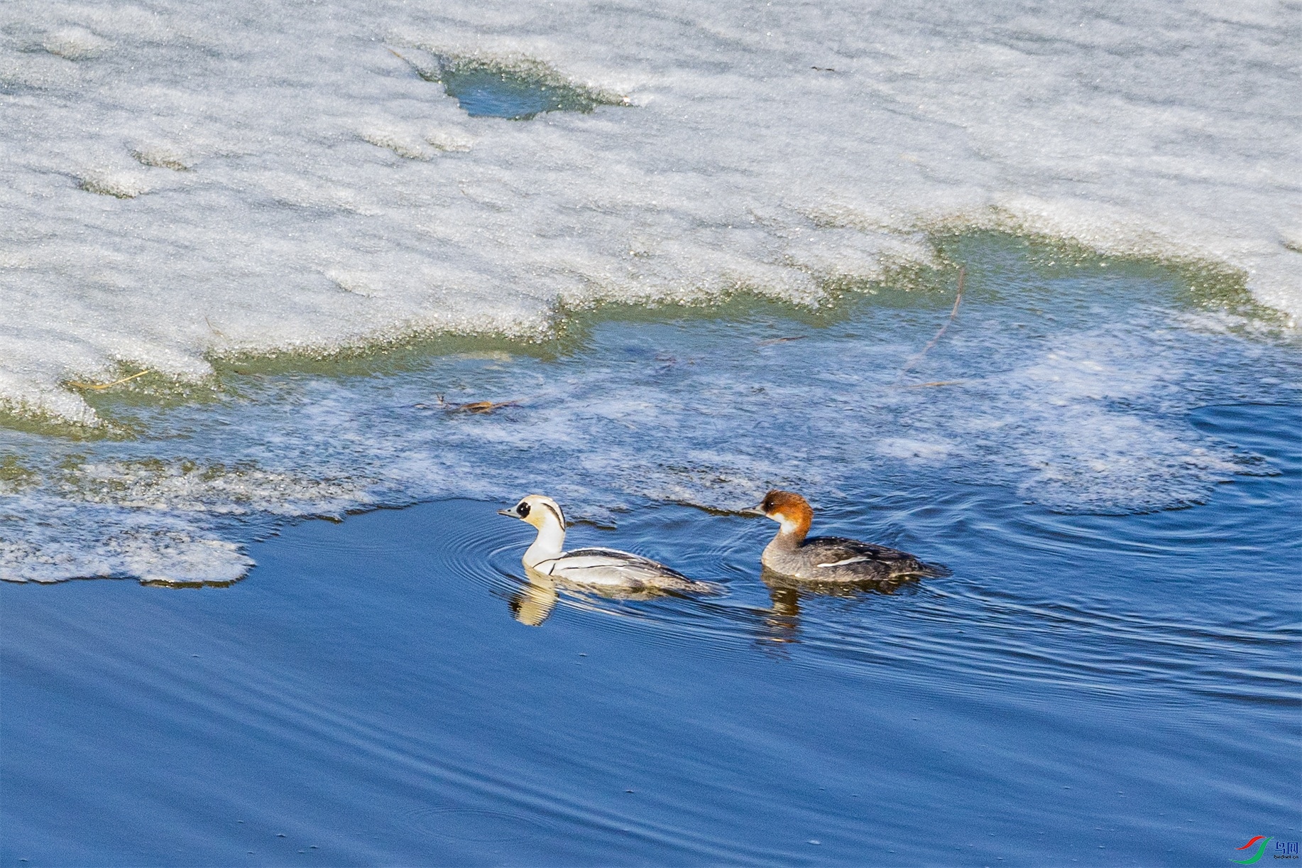 1K3A7016 ����1.jpg