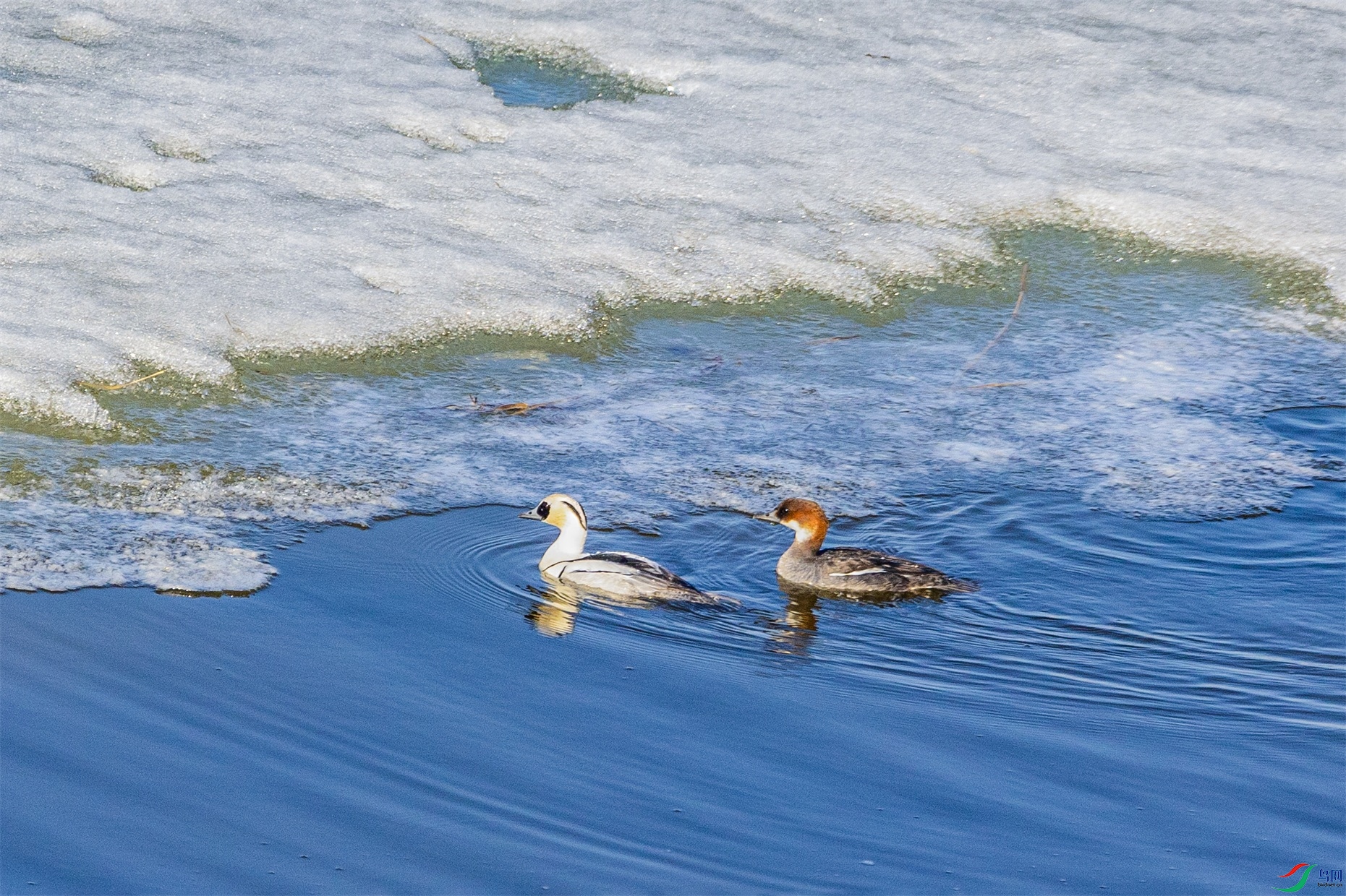 1K3A7021 ����1.jpg