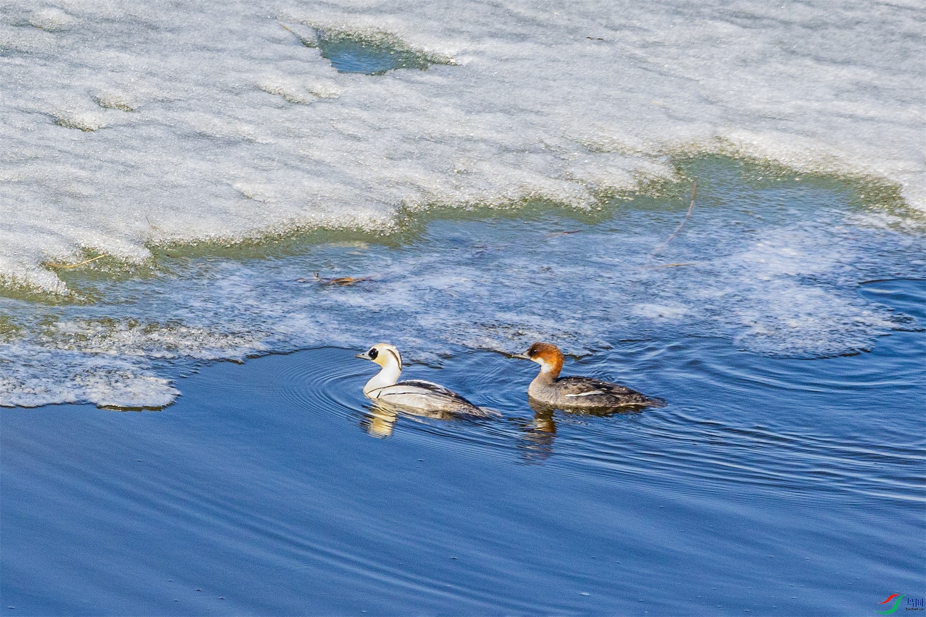 1K3A7020 ����1.jpg