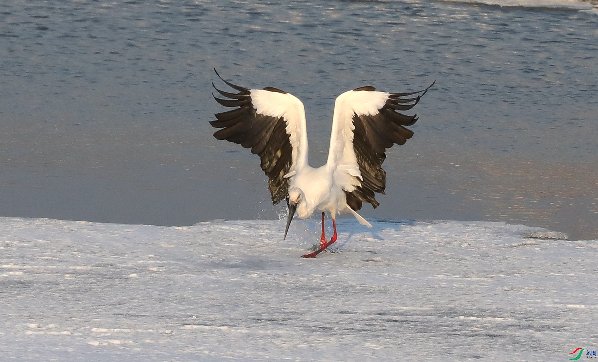 9G8A4698.JPG