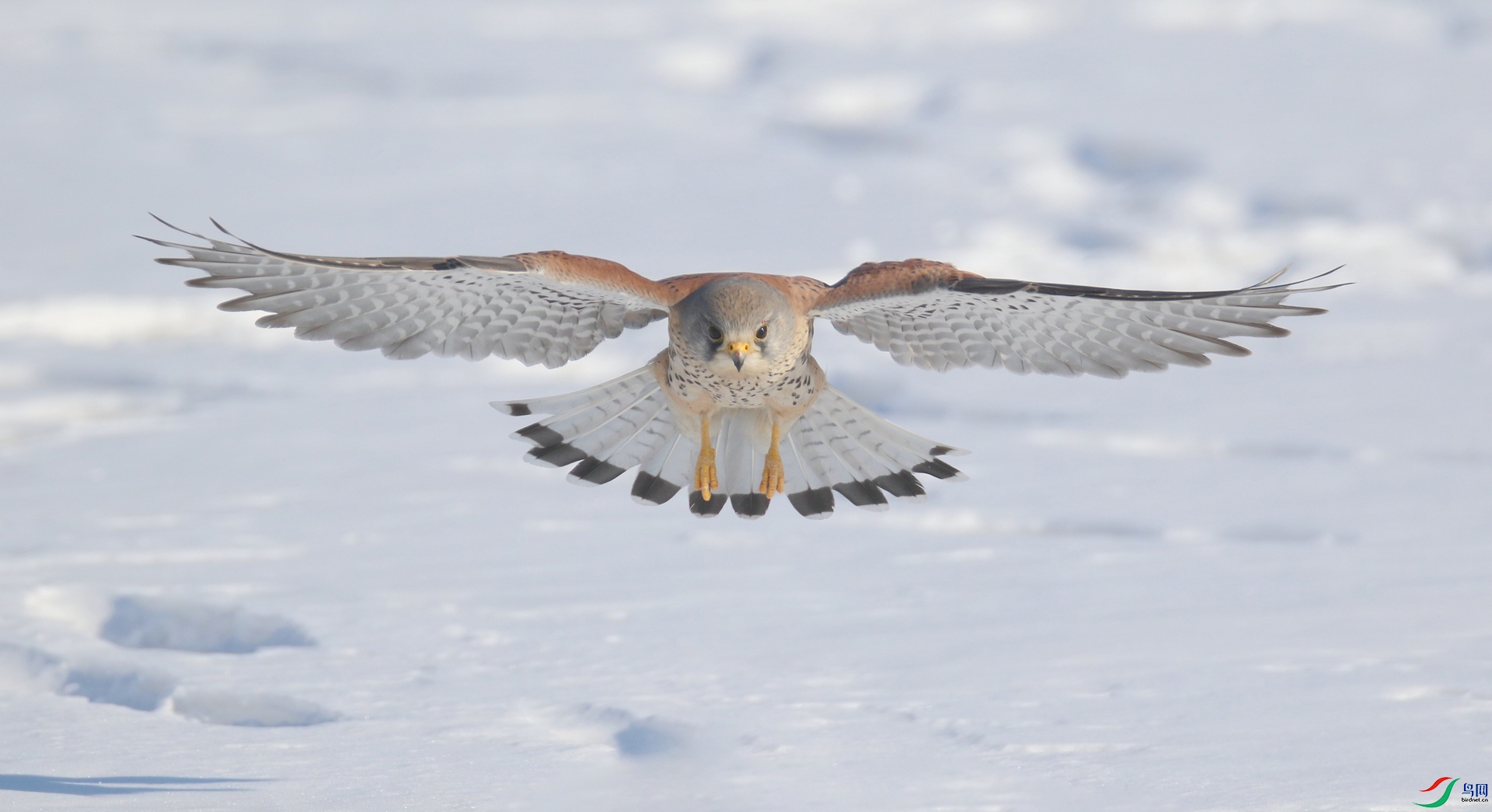 0G1A0004 ����.jpg