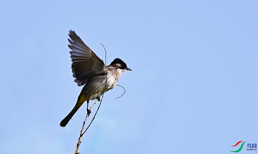 DSC_4739.JPG
