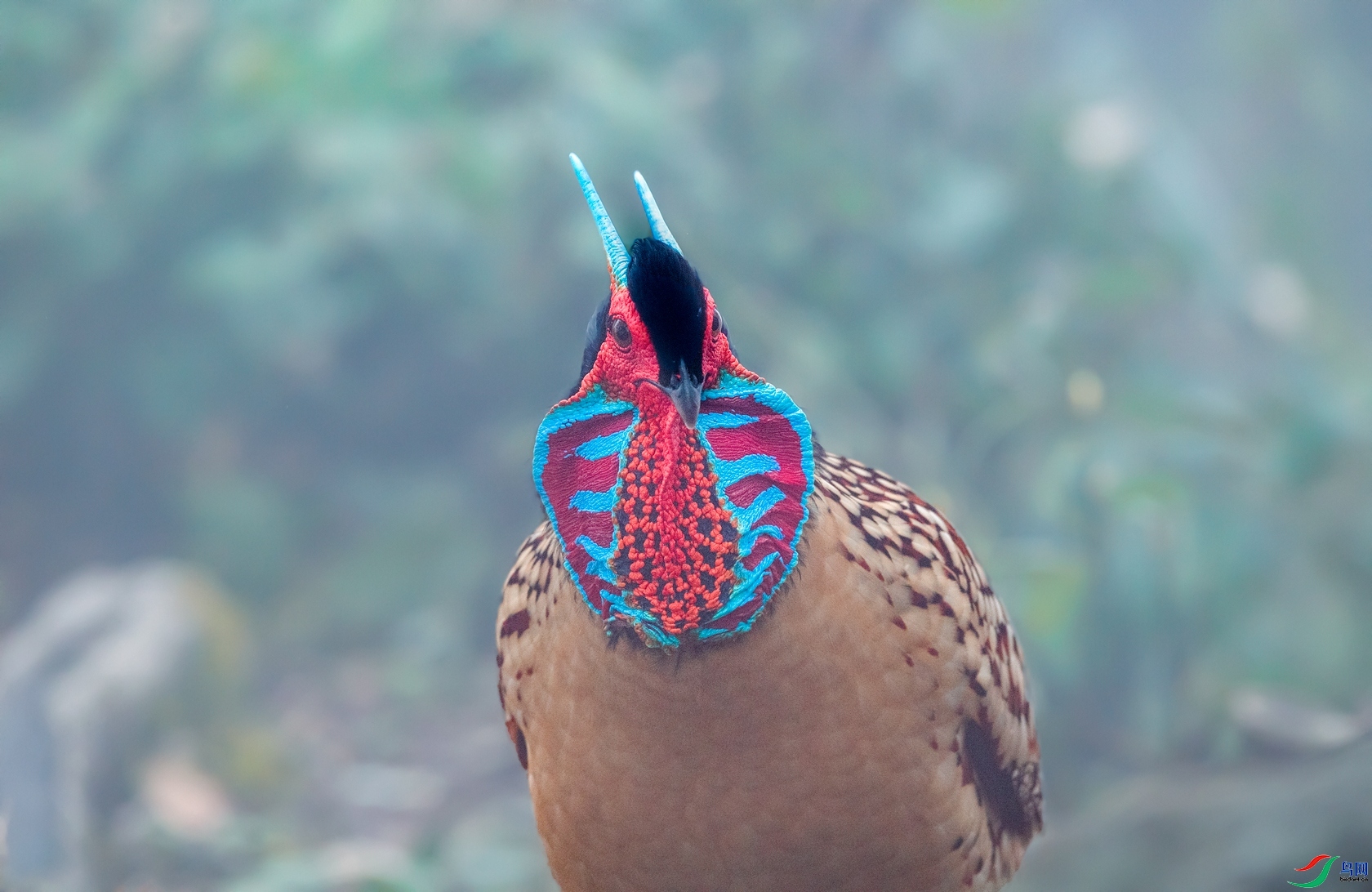 �츹����  ���� ���� ��һ.jpg