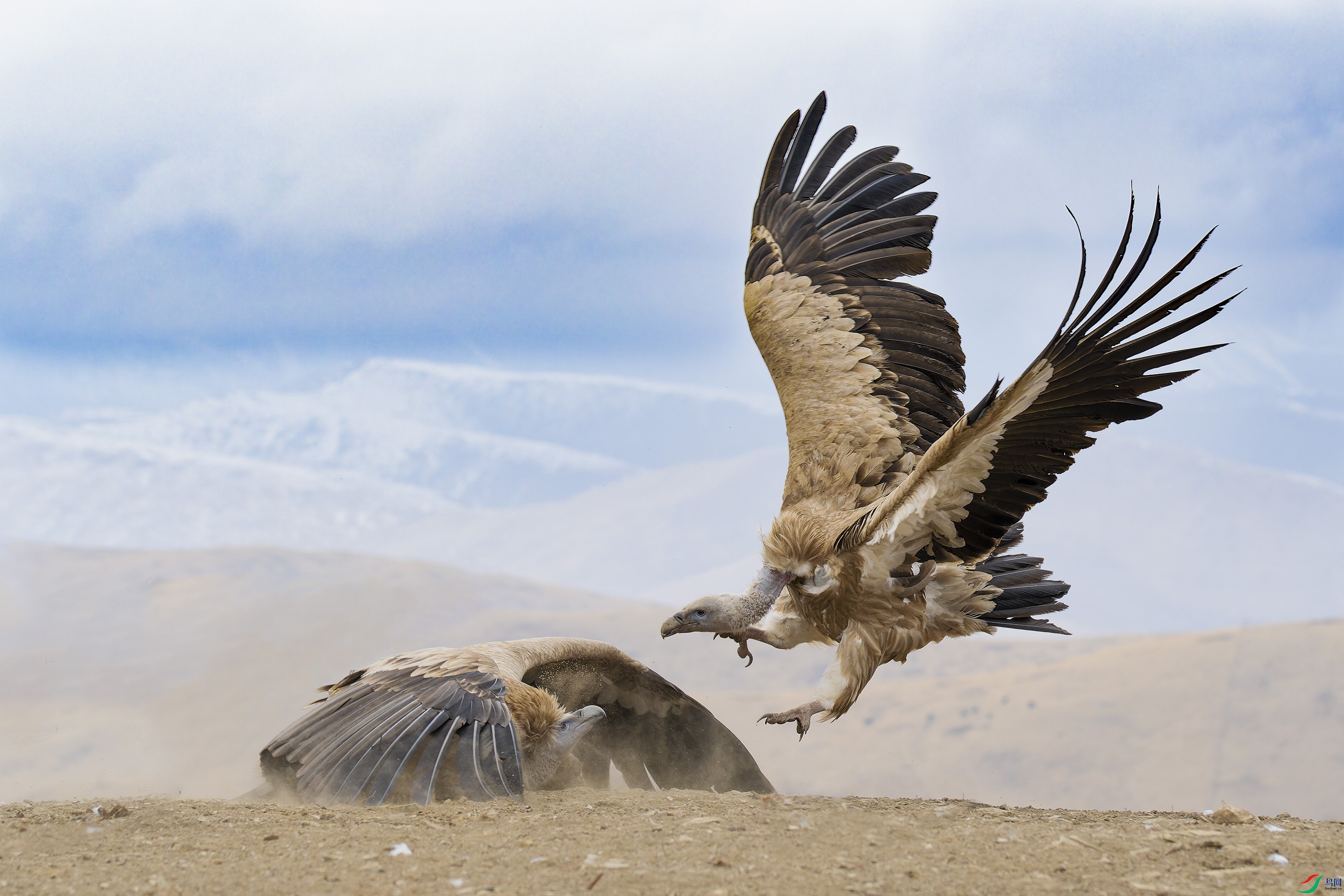 DSC_8966_DxO.jpg