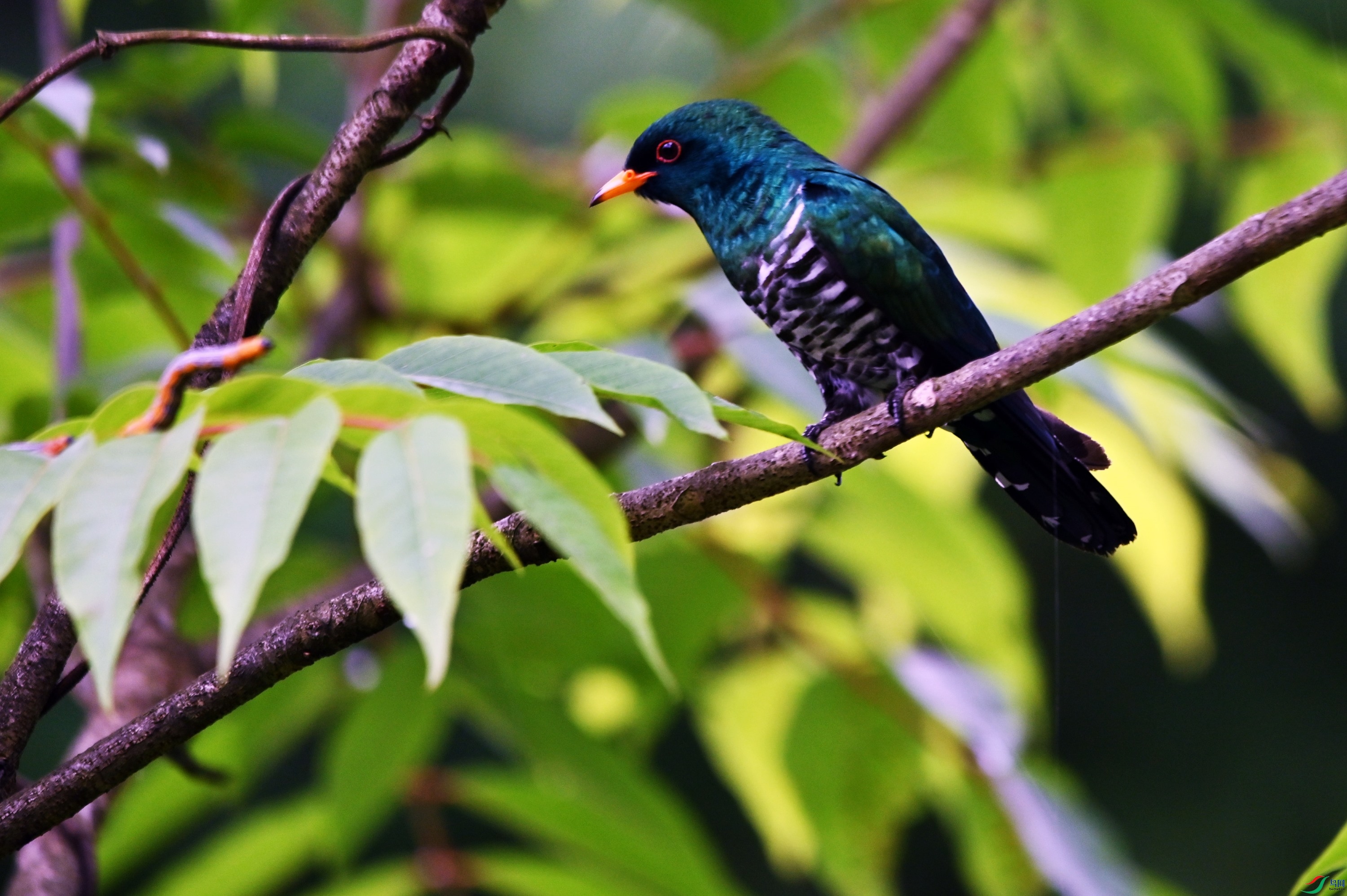 DSC_4302.JPG