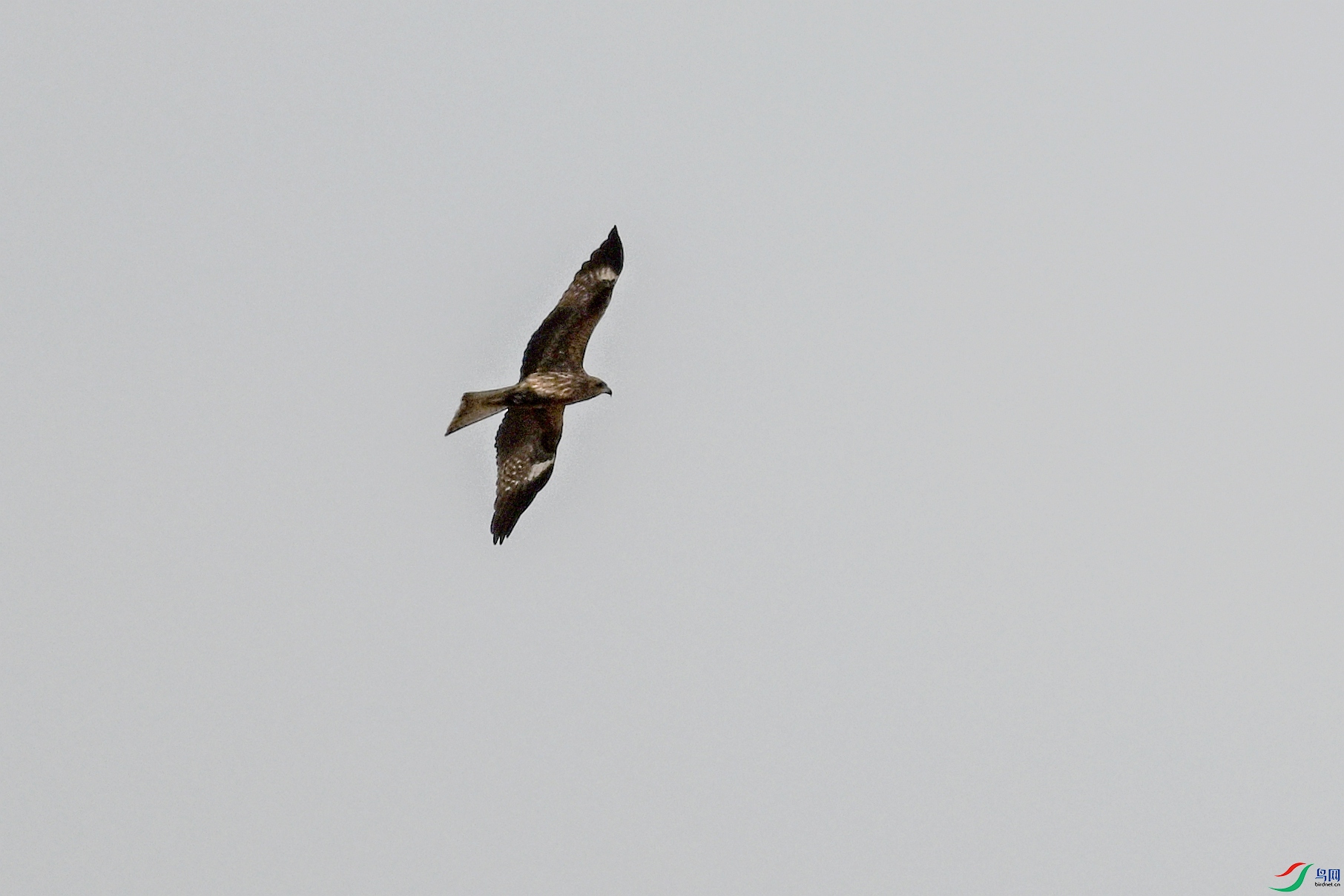 DSC_8139.JPG