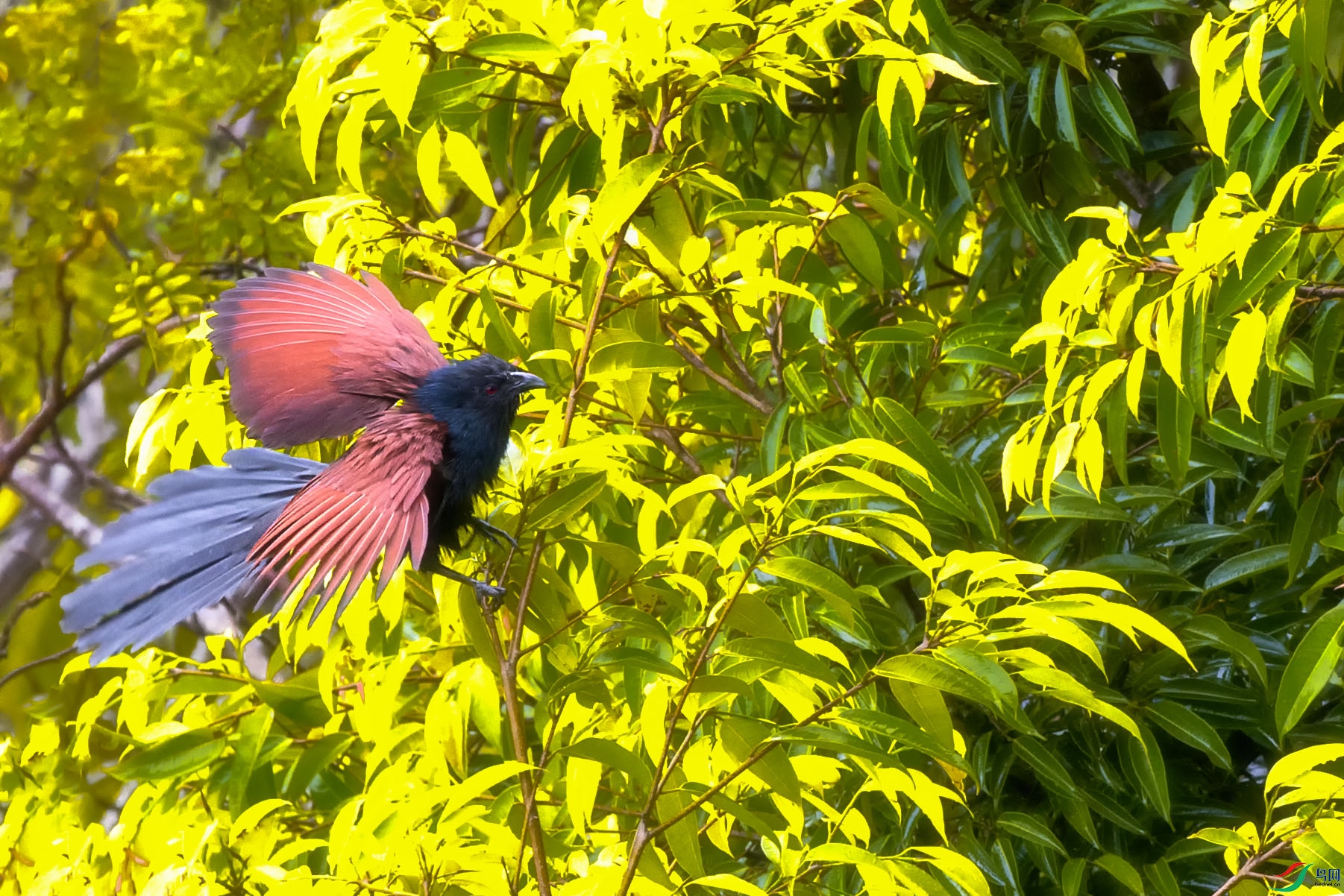 ��_0985.jpg