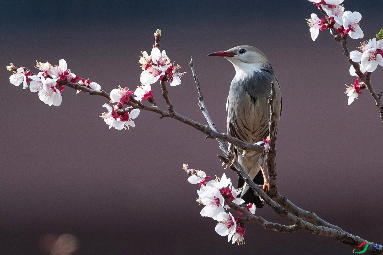 DSC_3407--.jpg