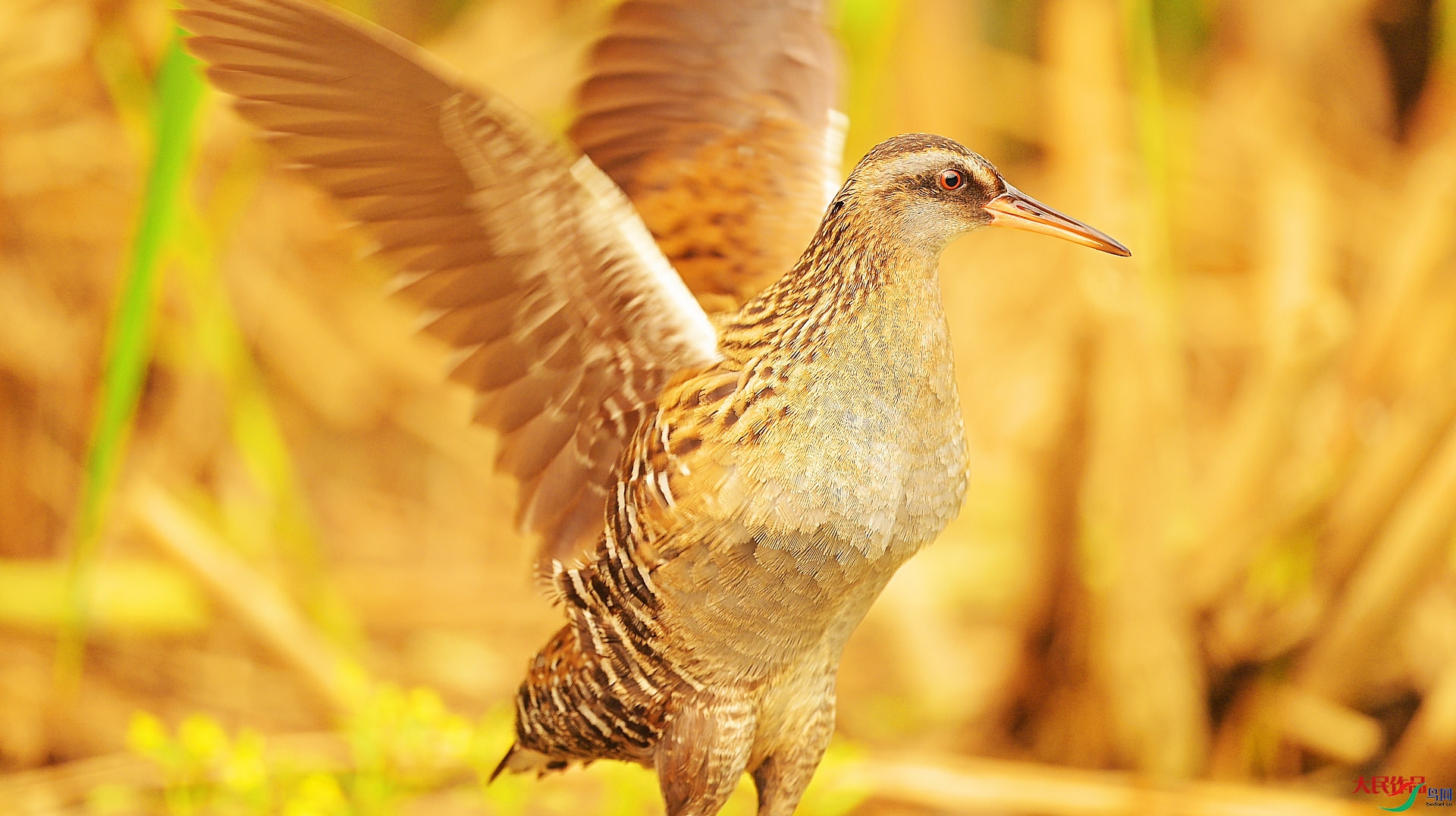 {0D55054E-0D79-4732-AE66-3B24903FCA46} ����.jpg