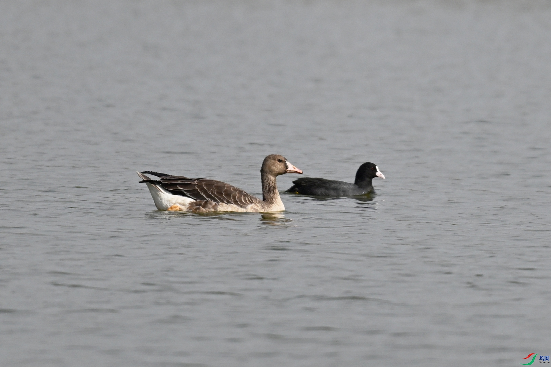 DSC_8087.JPG