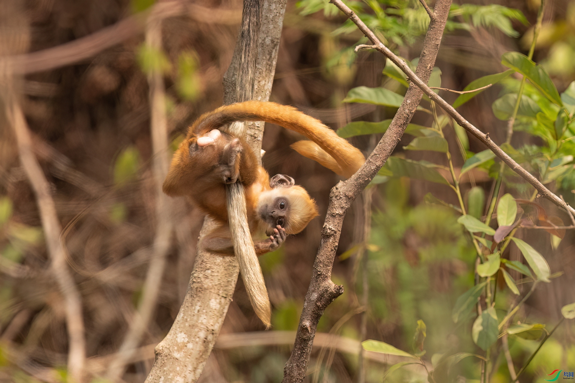 B86I9486 _����.jpg