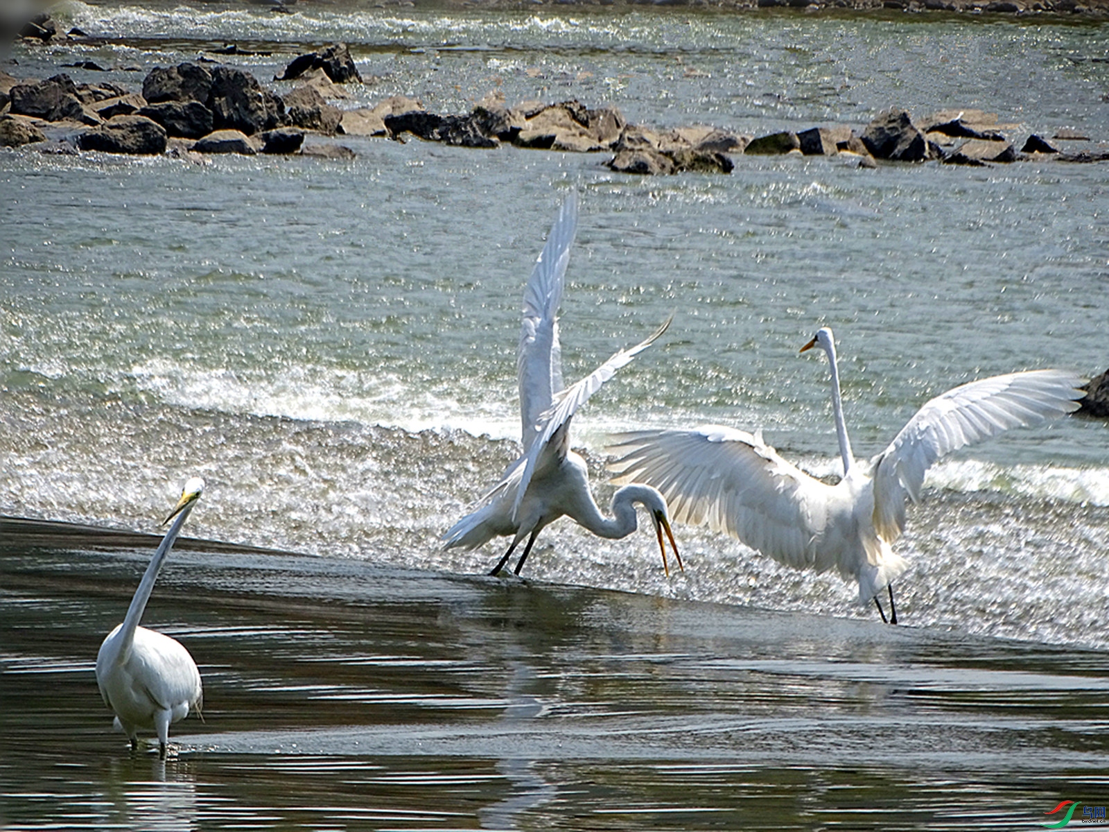 DSC07440_����.jpg