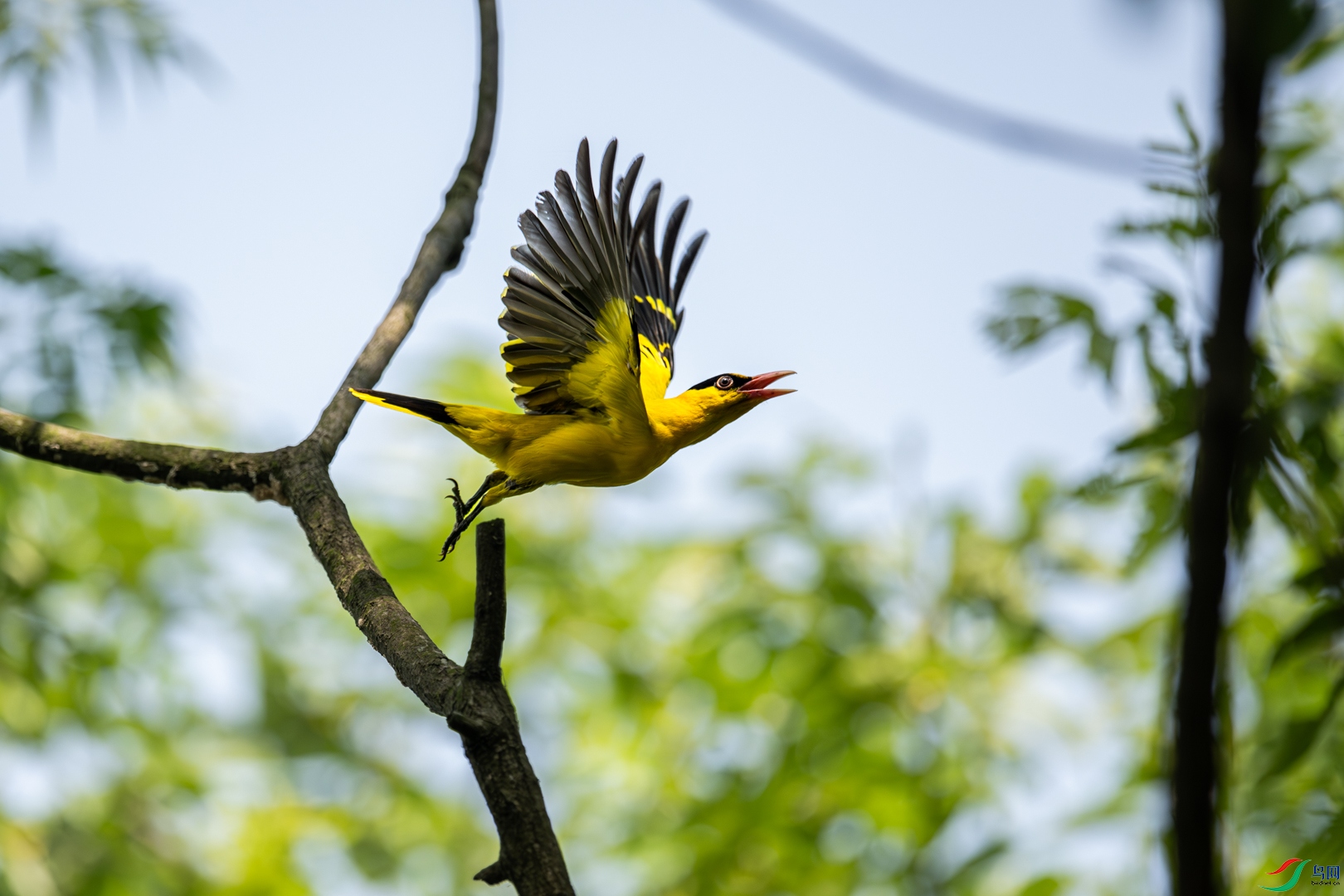_Z9B1232-����ǿ-����.jpg
