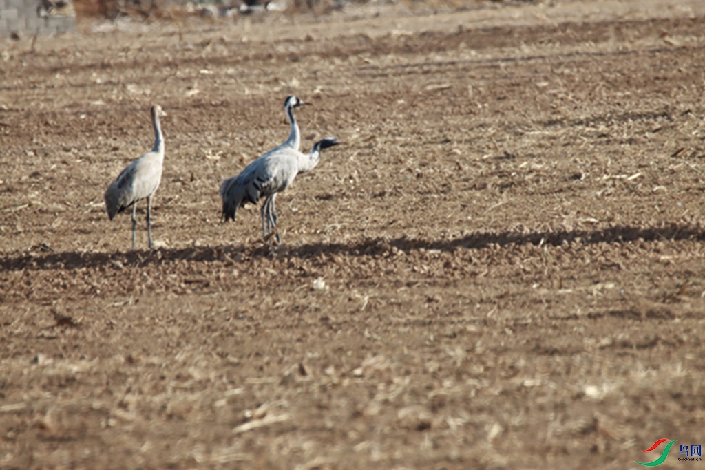 IMG_0023.jpg