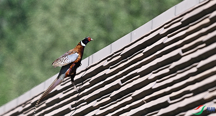 DSC_7573.JPG