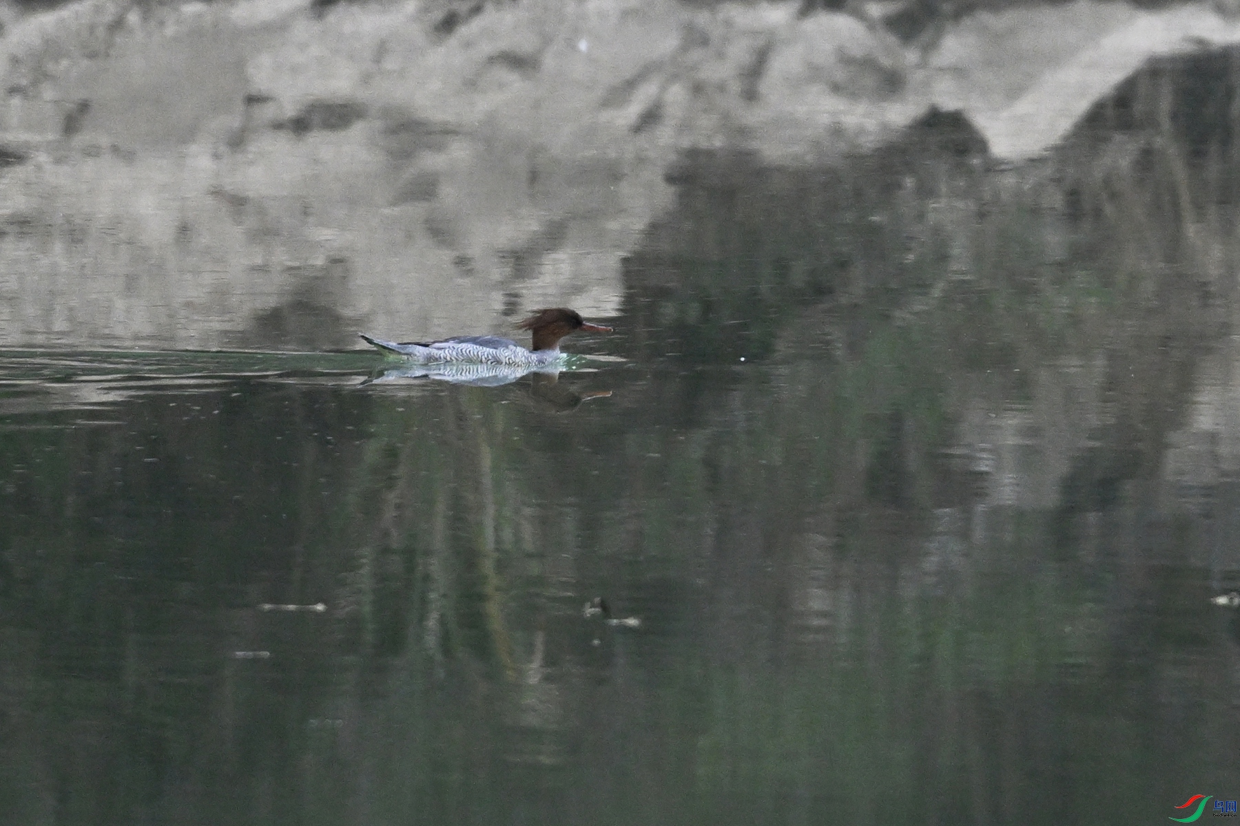 DSC_6779.JPG