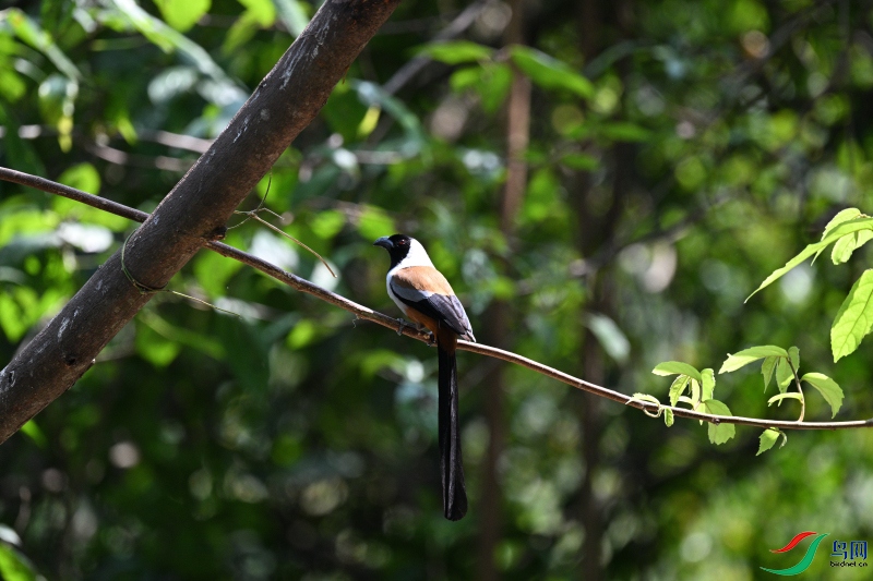 DSC_3732.JPG