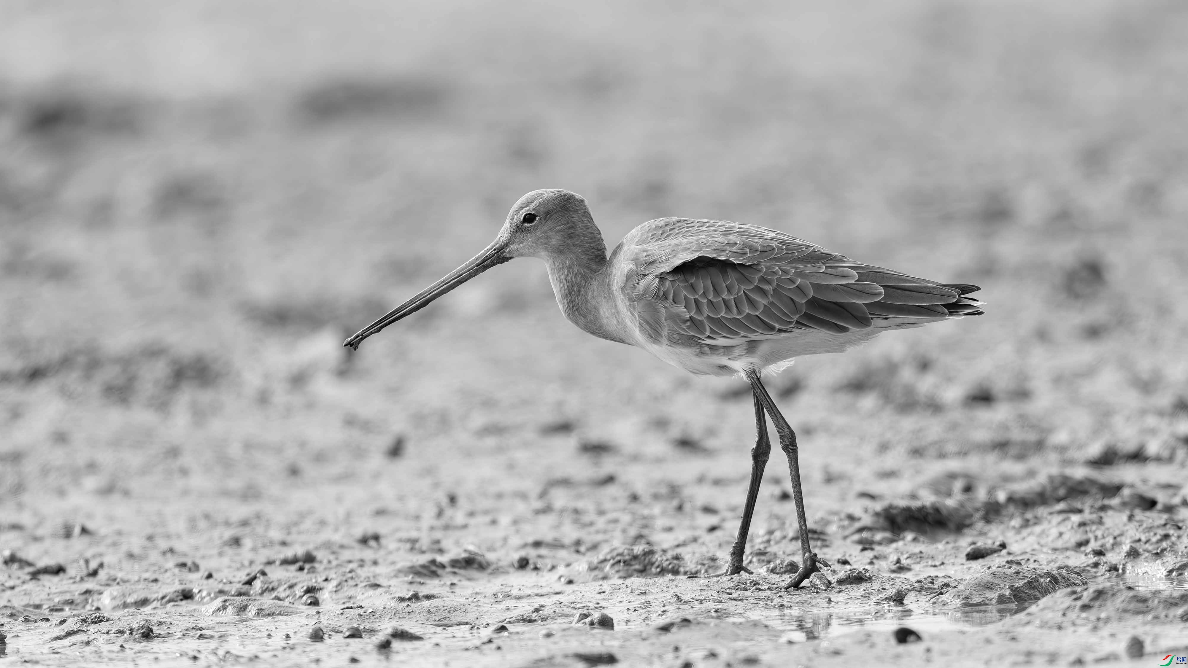 DSC09988-����ǿ-NR ���� 2.jpg