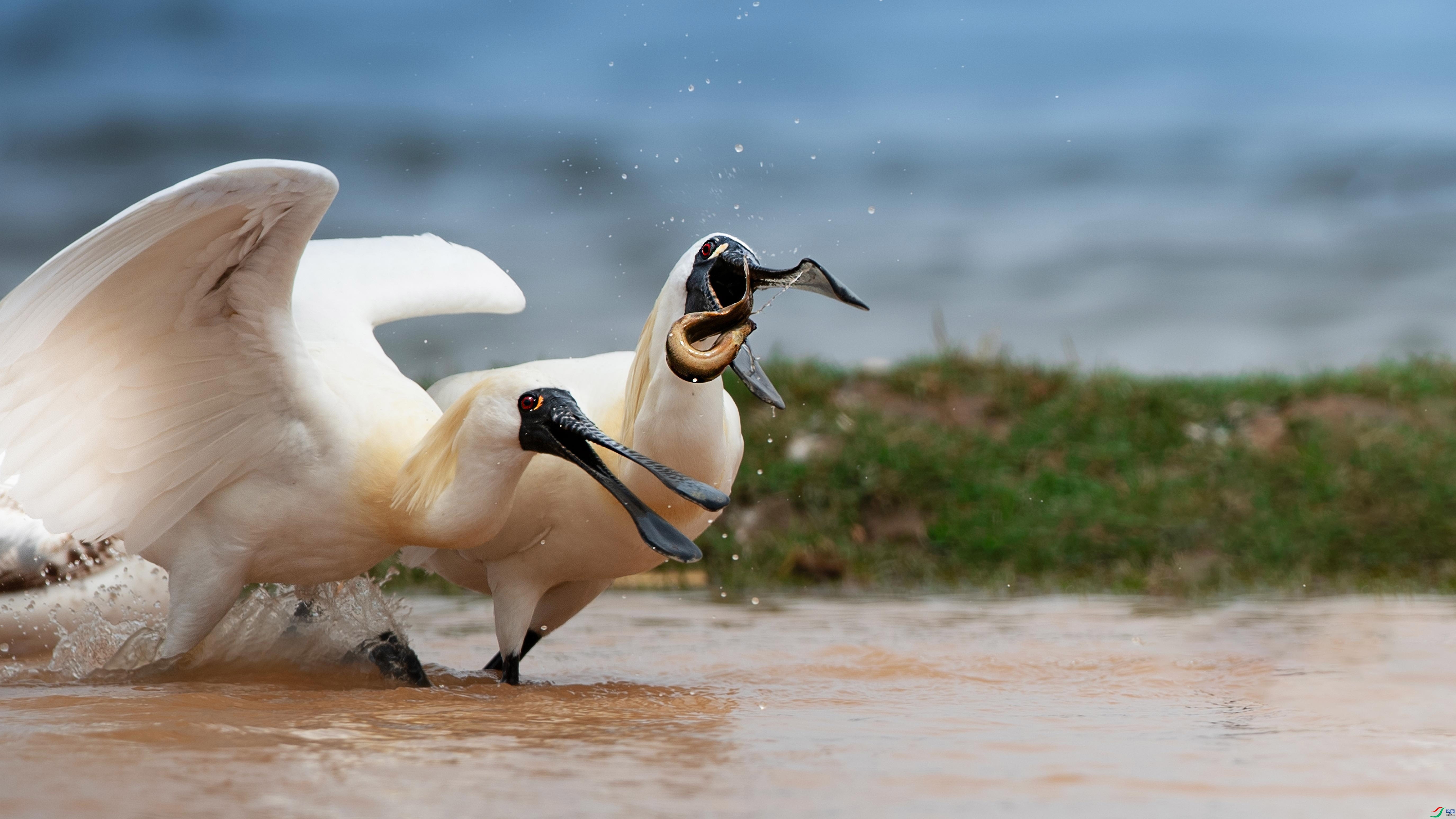 4.7��������ʦ��Ʒ   �����޲ߣ����ؼ����ٻ����Ѿ�����.jpg