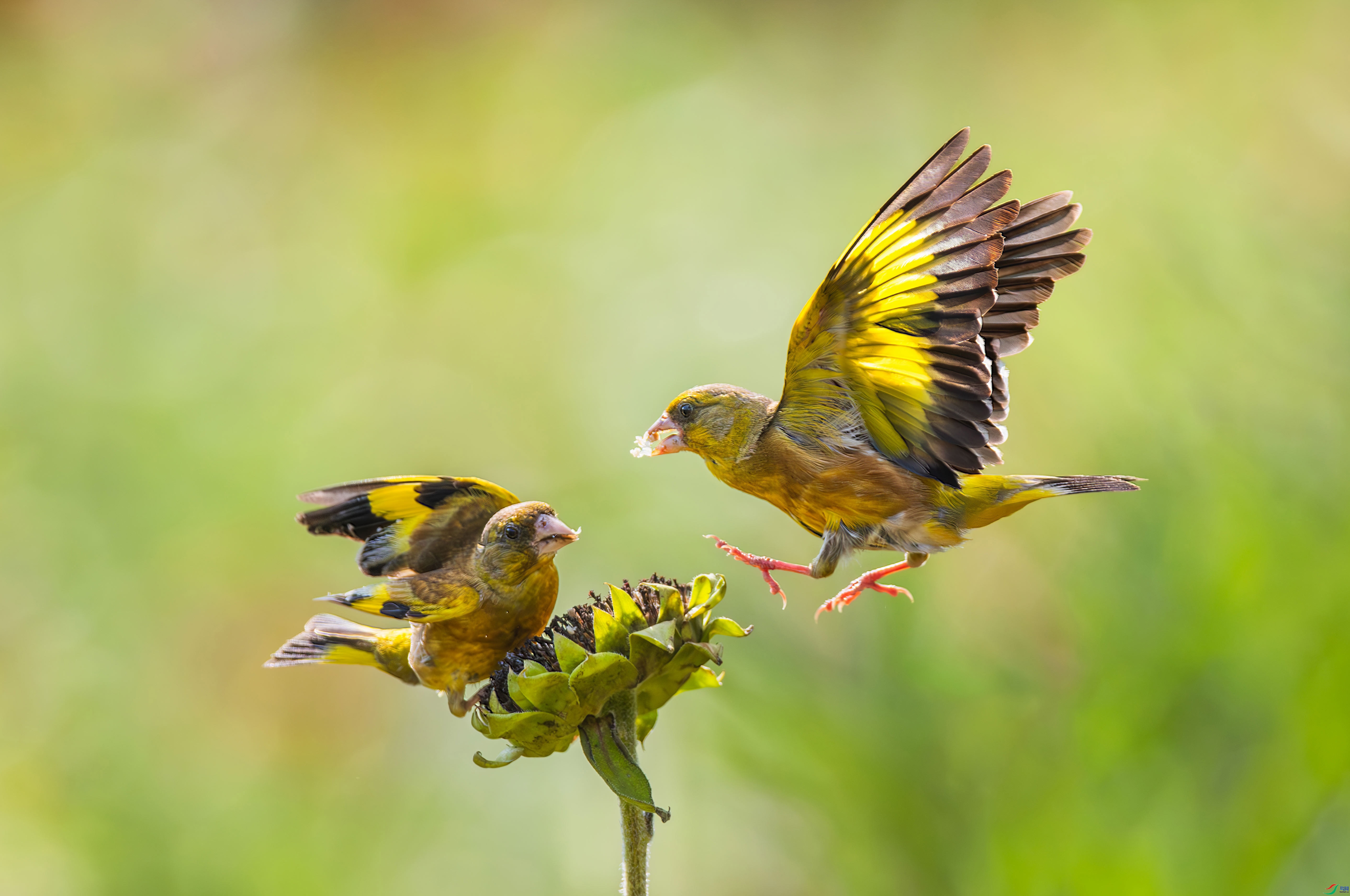 4.9��������ʦ��Ʒ  �ദ  ��ף���ٻ����Ѿ�����   .jpg