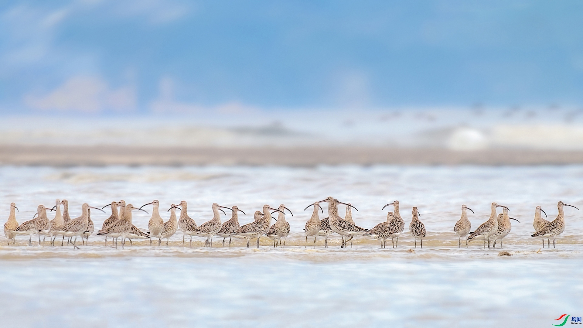 4.10Դ����Ȼ��ʦ��Ʒ ���ۺ����Ρ� ��ף���ٻ�ÿ�ռ�����.jpg