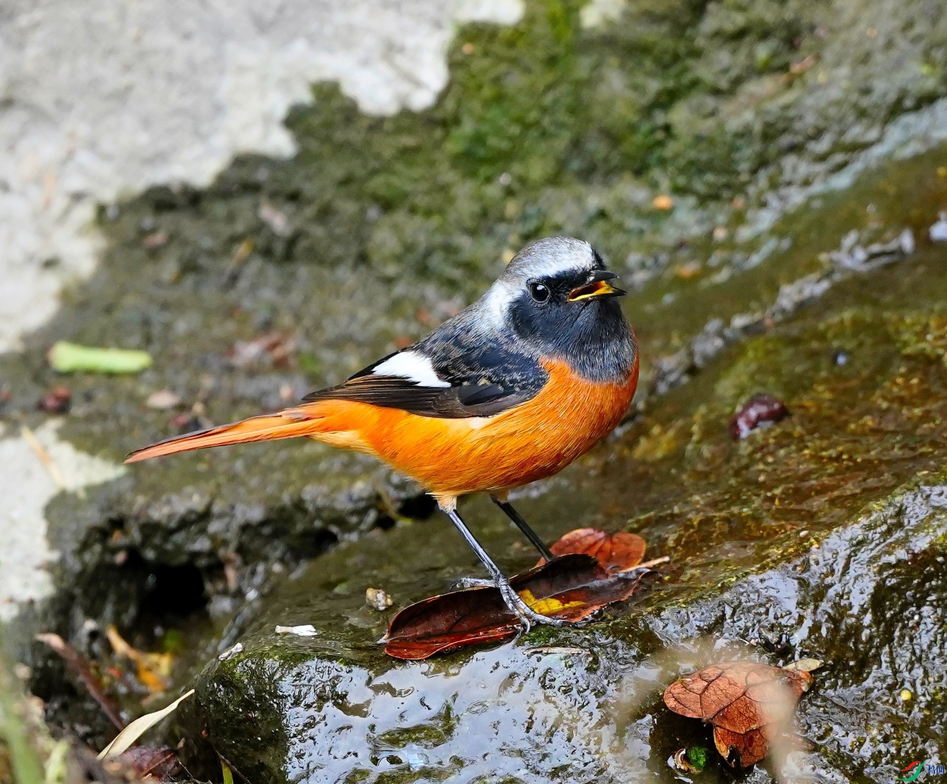 DSC09447_01.JPG