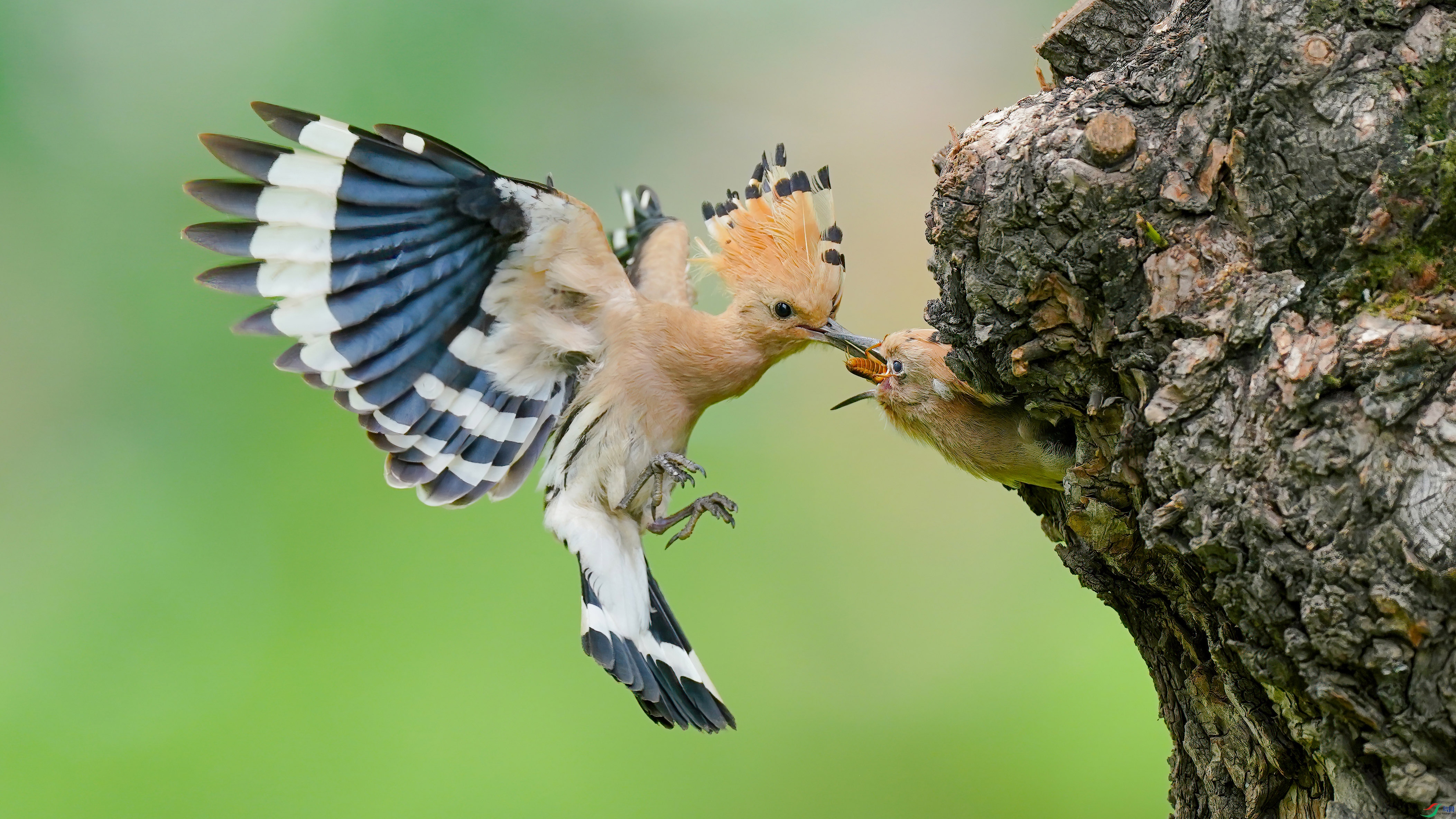 DSC05052A ����.jpg