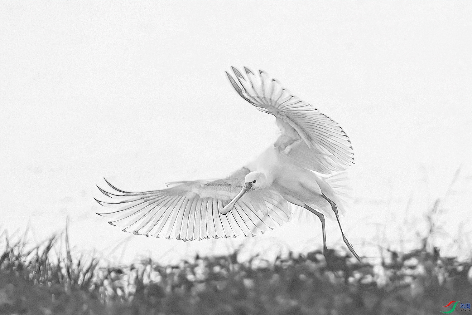 AE1V8072 ����.jpg