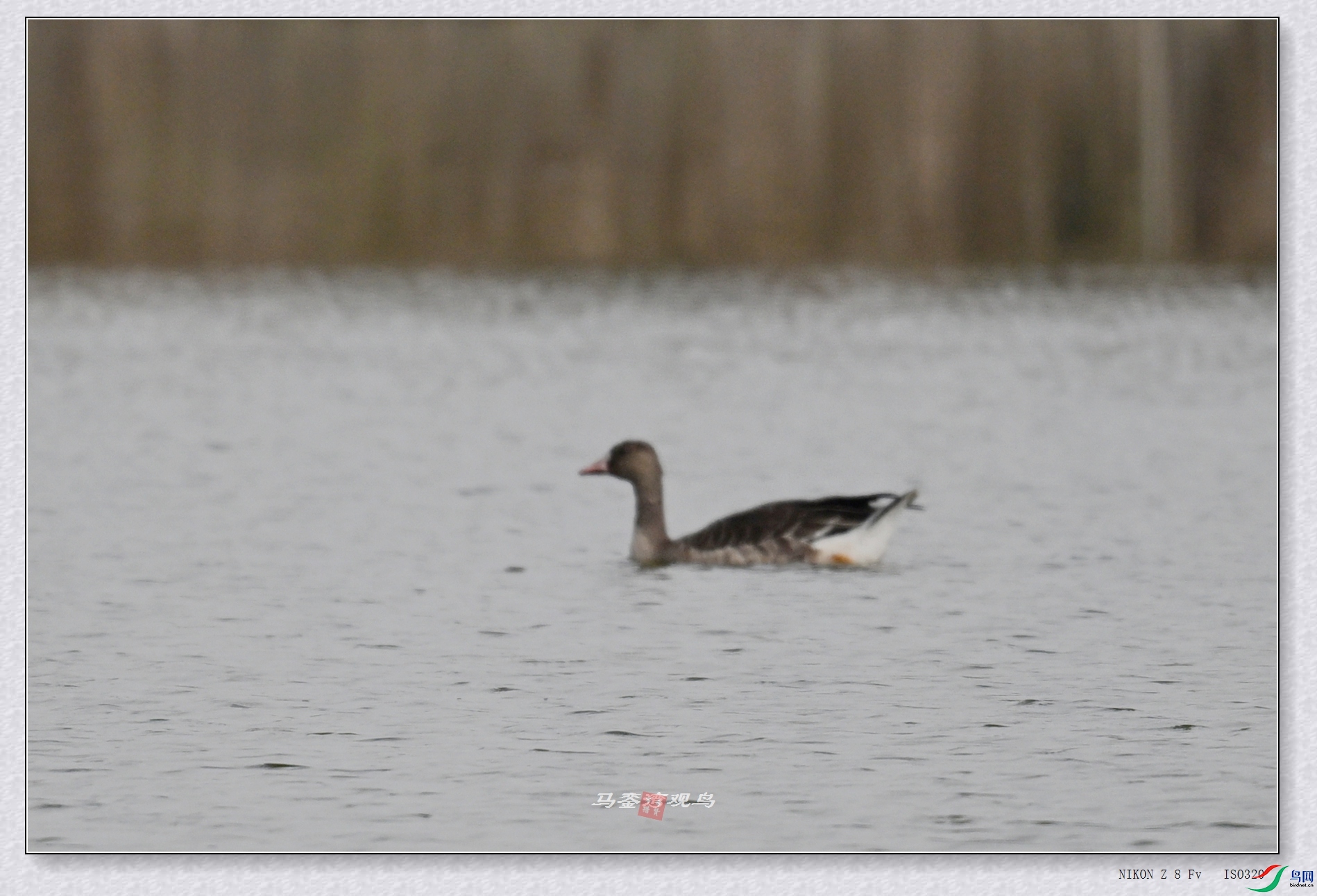 DSC_8061.JPG
